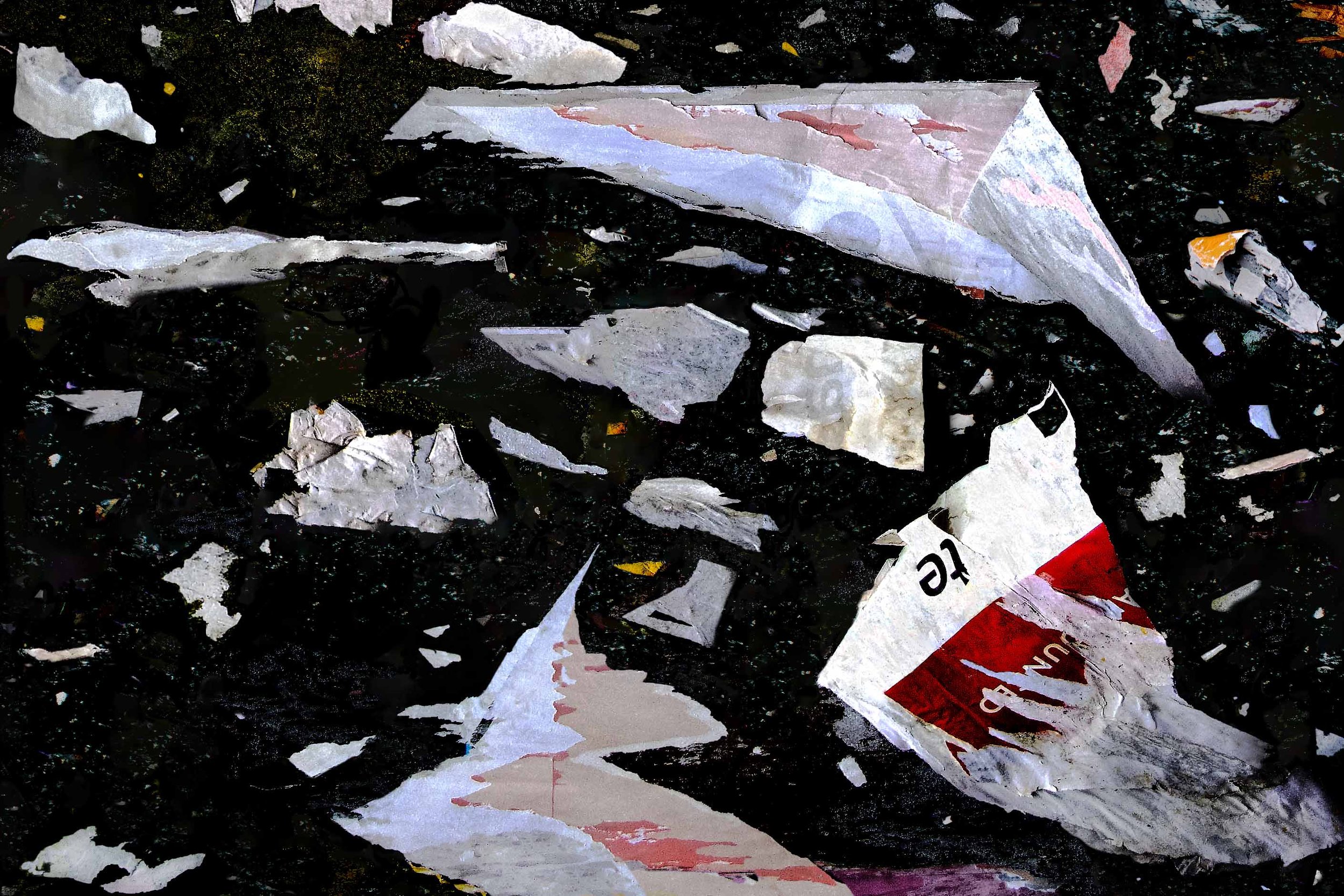 DSC_5467VERSION 6 16(Reduced).jpg