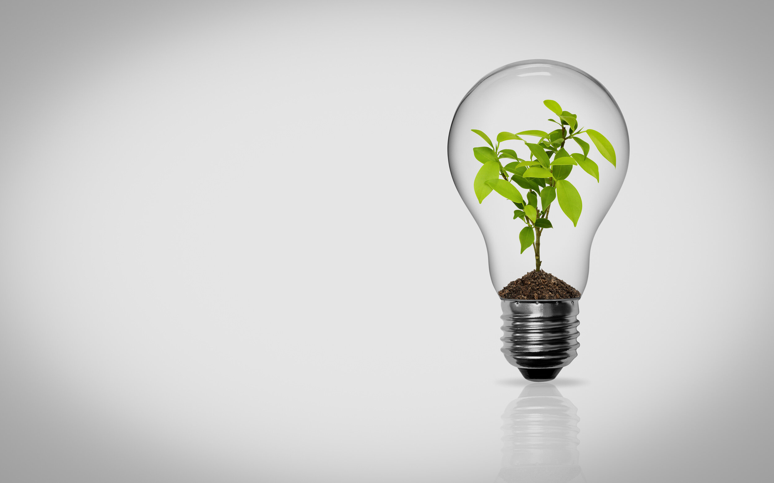 NegaWatt-Extended-Web-Quality-Gradient.jpg