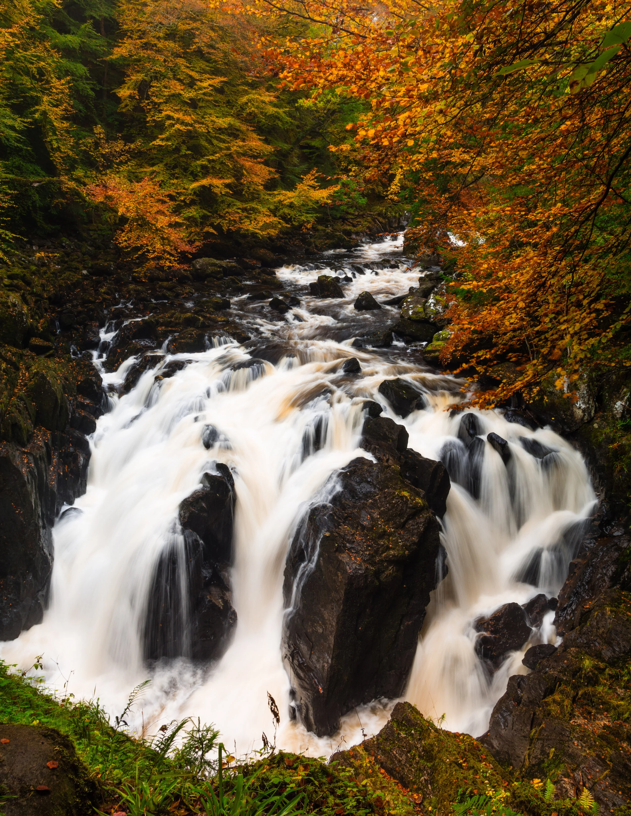 BlackLinnsFalls(TheHermitage).jpg