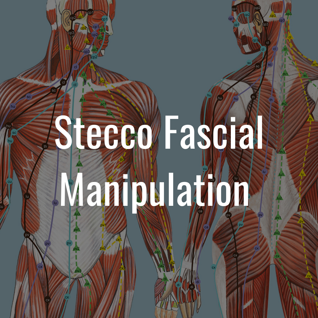   The human fascial system is a connective tissue network that covers every single tissue and organ in our body.  Through everyday wear-and-tear, trauma/injury, and inflammation the fascia can create densifications (“trigger points”) that lead to pai