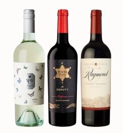 Virtual Wine Tasting Fundraiser - Friday February 26th 7:30pm