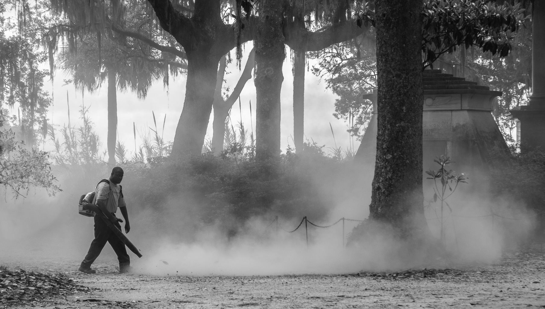 Blowing Dust in Bonaventure Cemetery