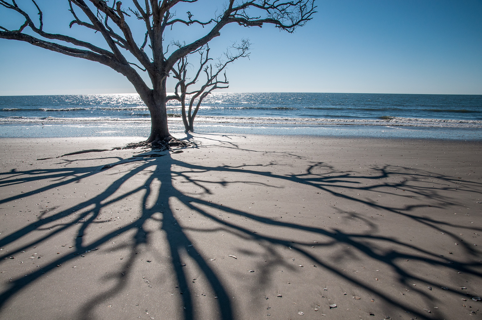 Botany Bay I