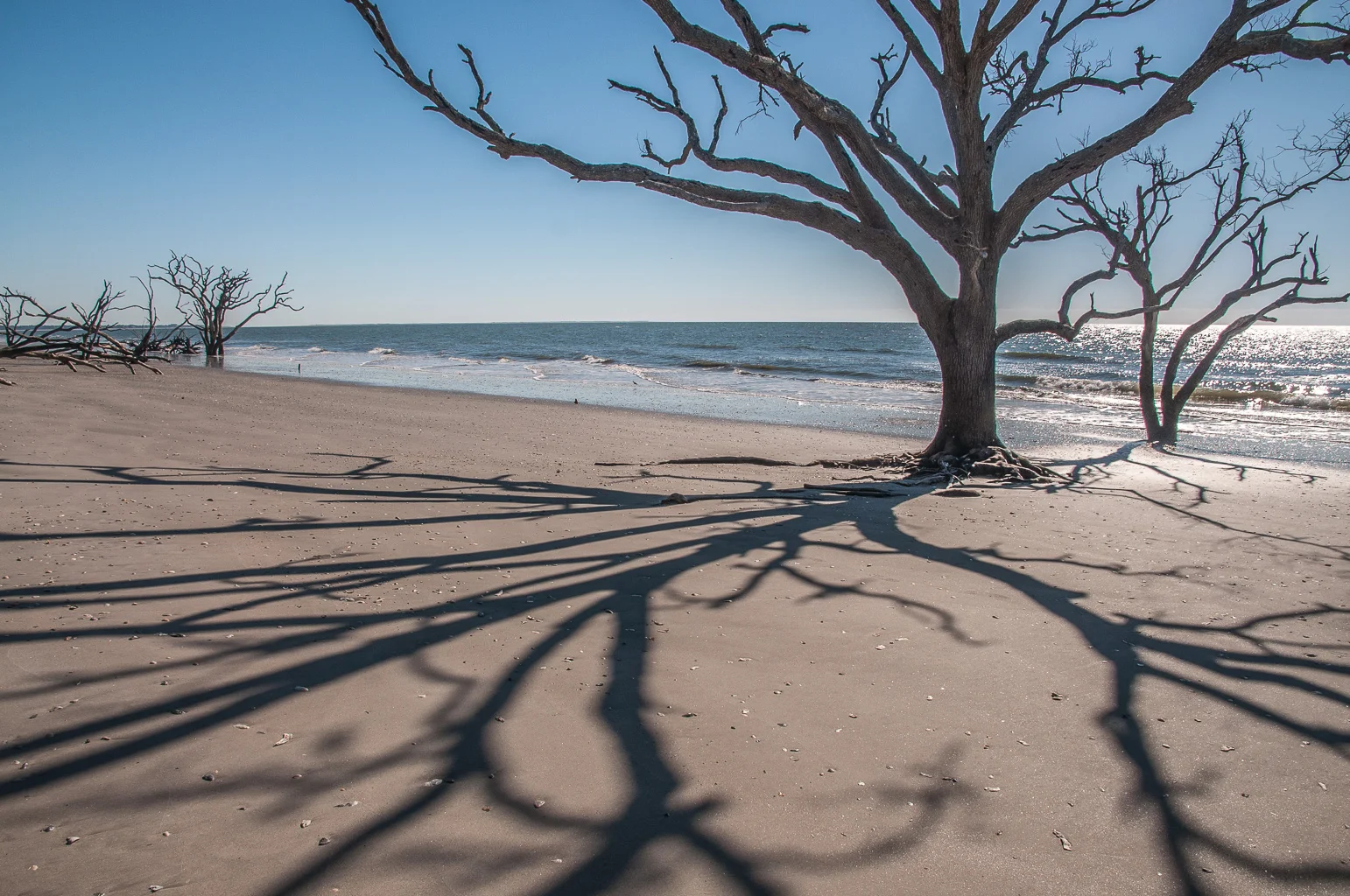 Botany Bay II
