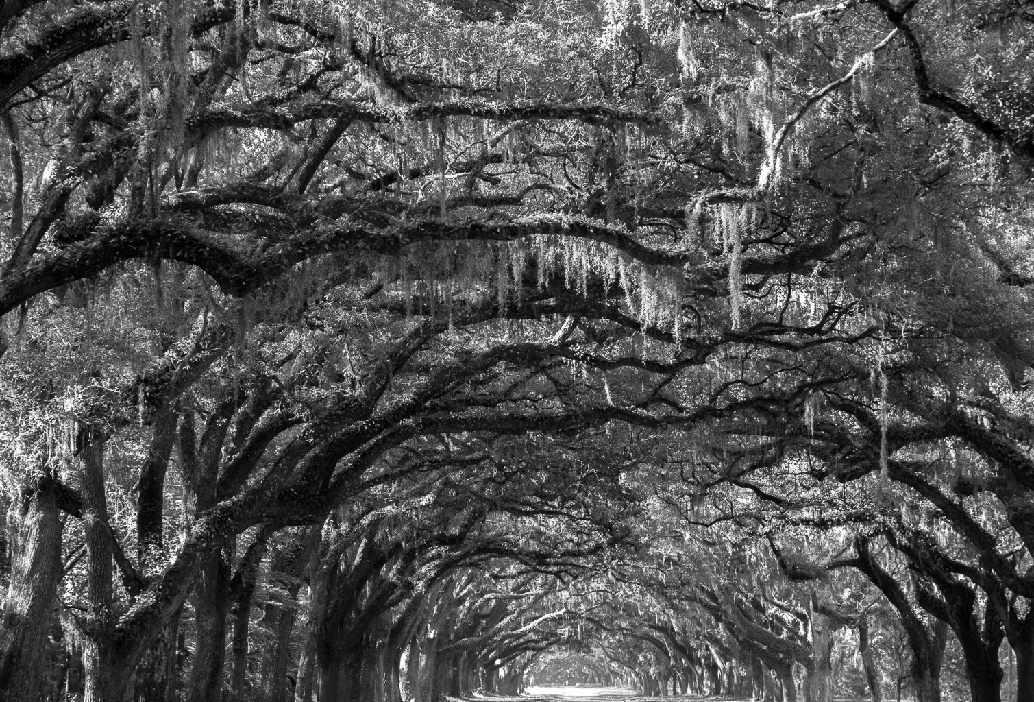 Vault at Wormsloe