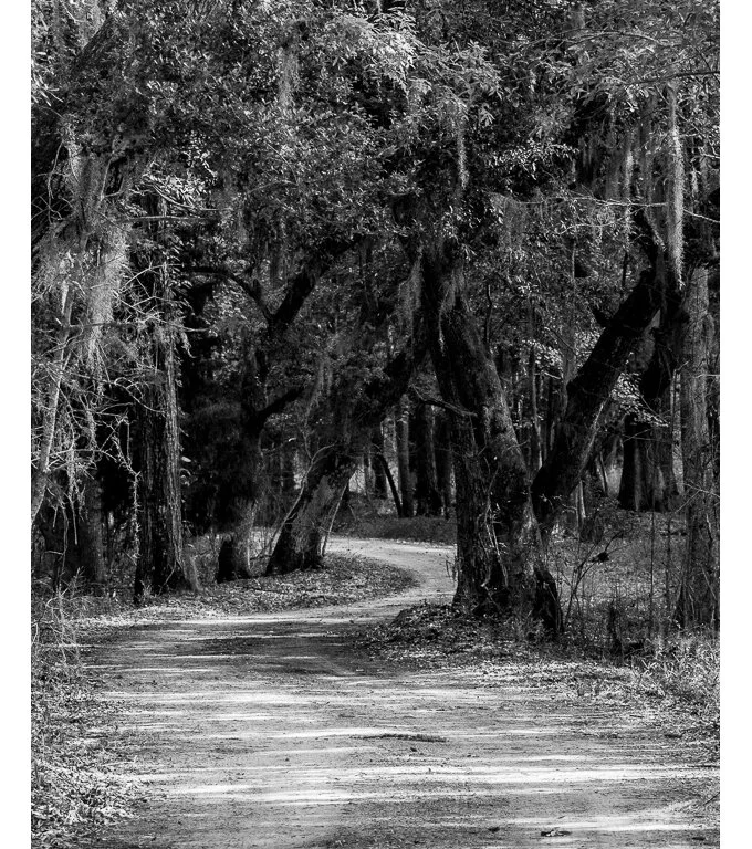 &nbsp;&nbsp;&nbsp;&nbsp;&nbsp;&nbsp;Swamp Road