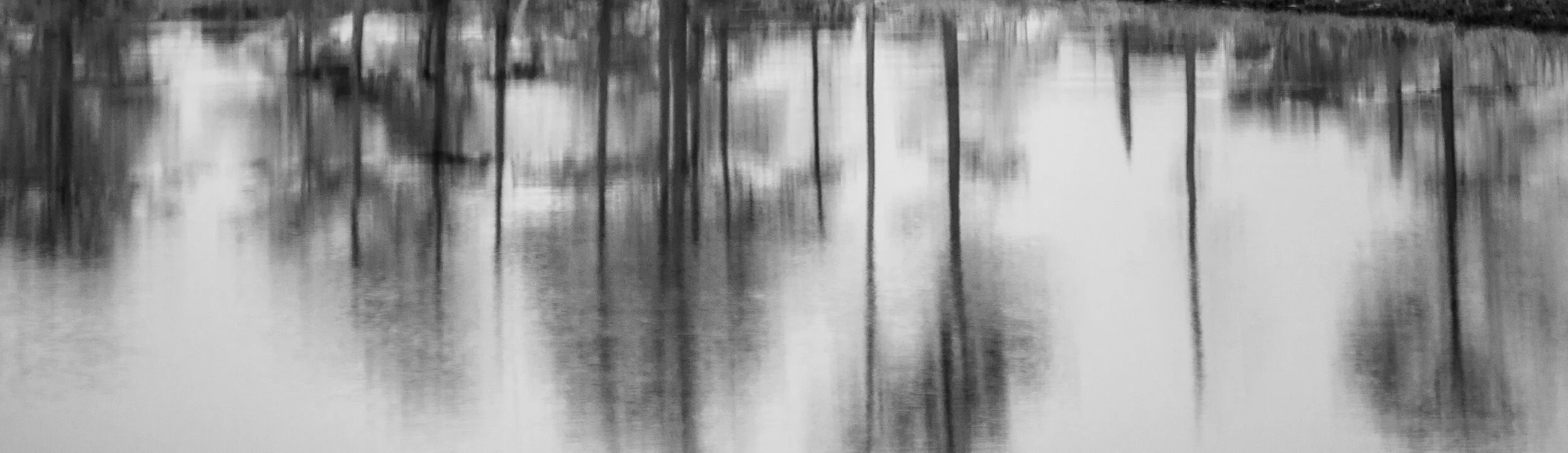 Pocomoke Pictoralist