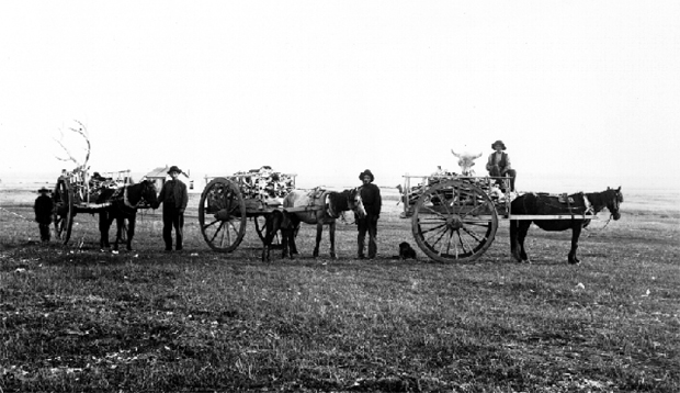 In the early 1850s, between 40 and 60 families of Métis buffalo hunters formed the original Catholic community west of Sturgeon Creek.