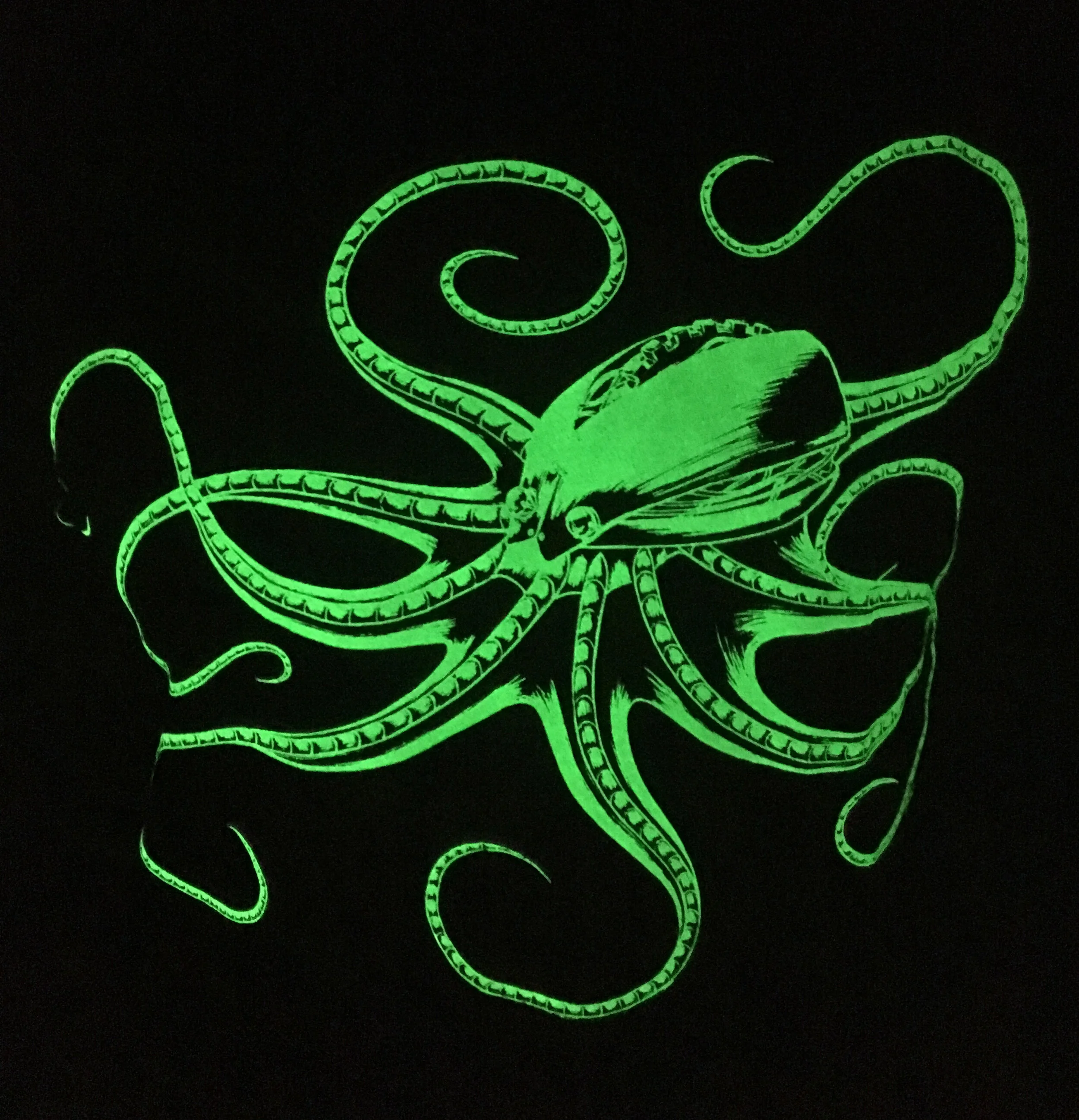 GlowInTheDarkOctopus.jpg