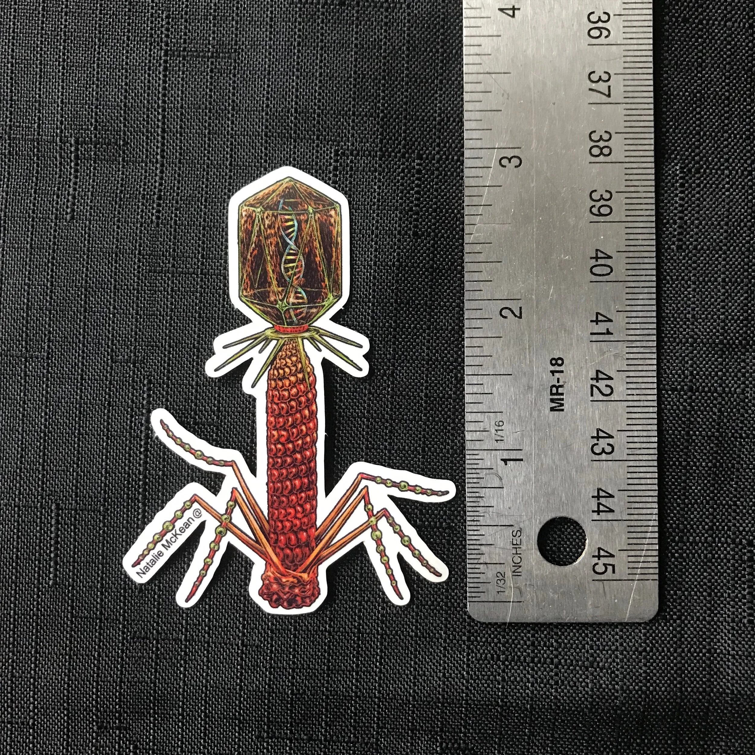 18898257-2087-4B72-A27C-C5AB16317E76