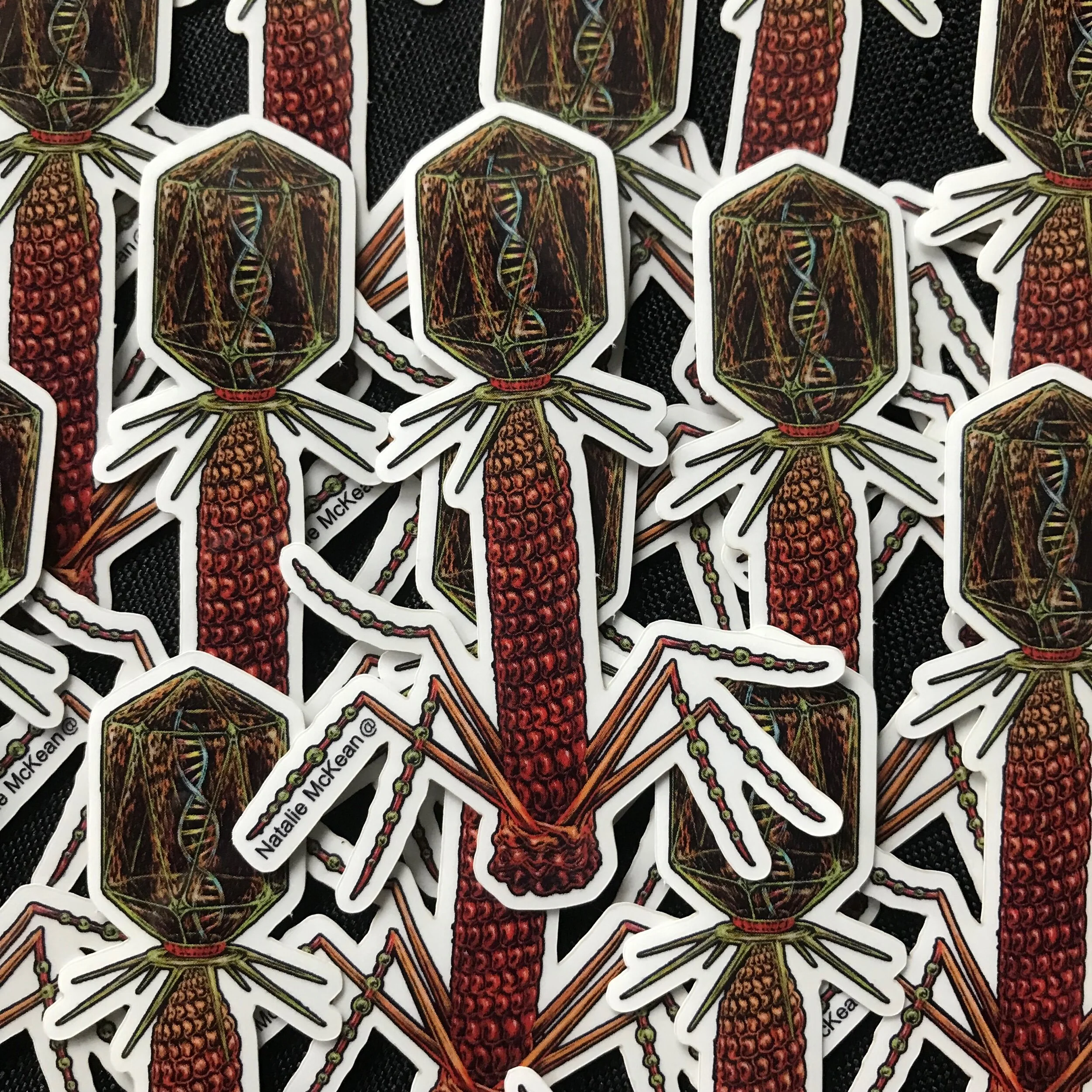 D7D5BEDB-6A65-4690-8410-D287870C78A2