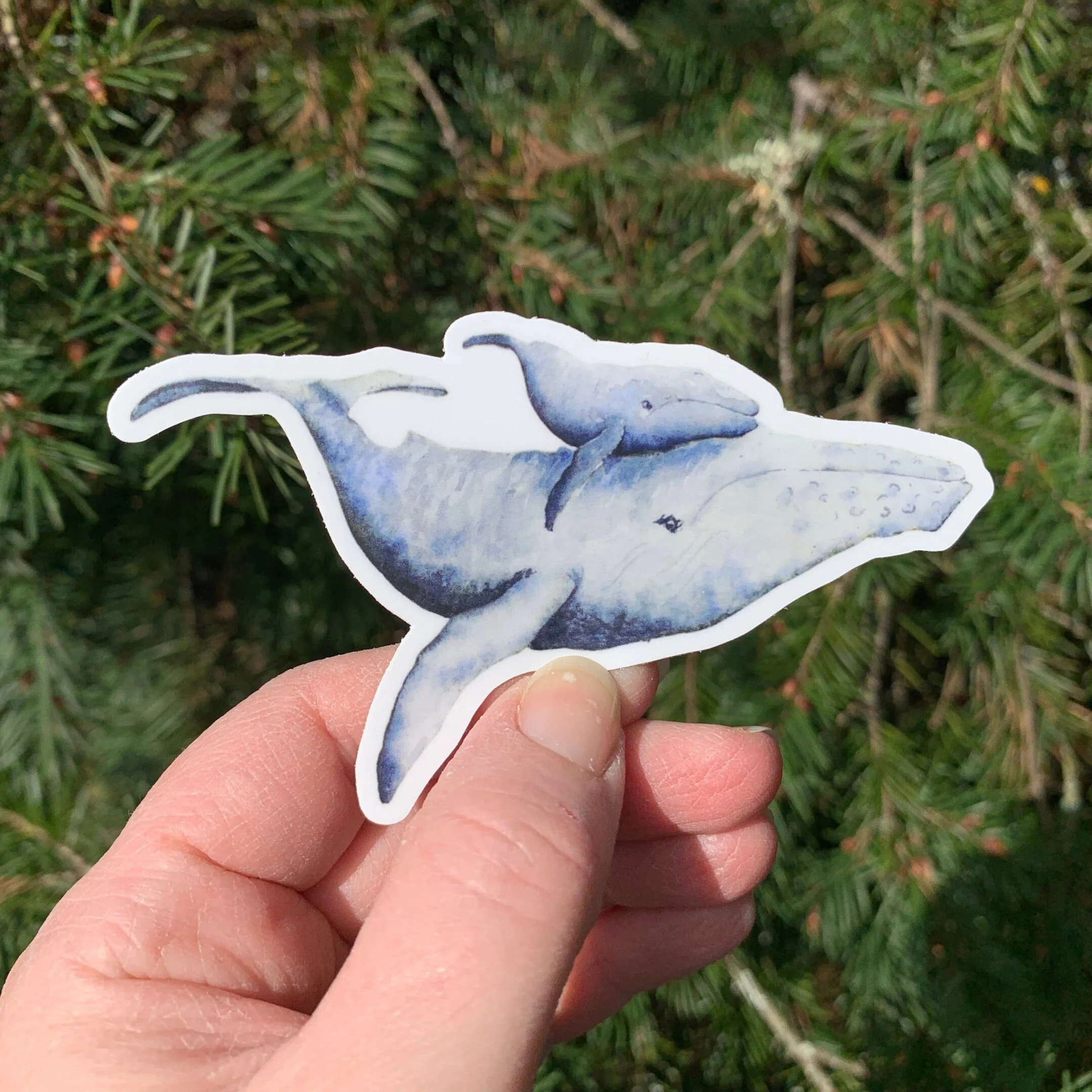 thumbnail image 2 of Steam Humpback Whale Clear Vnyl Stcker – Artoft 2 of 11