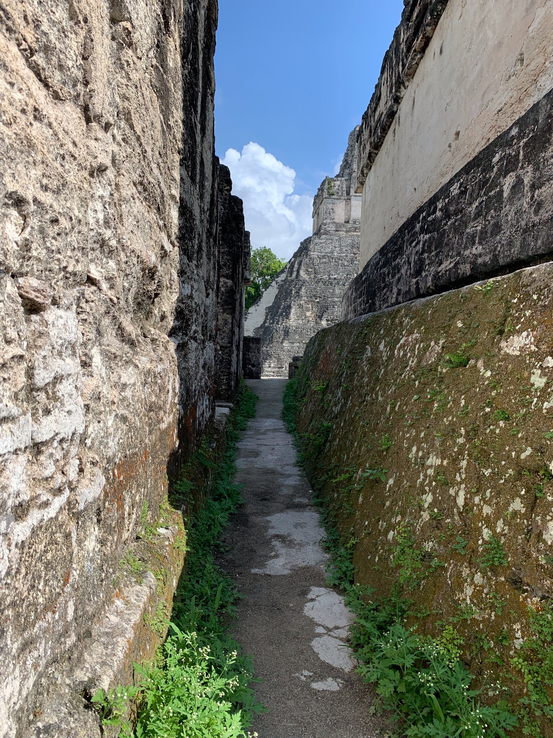 IMG_0462.jpeg