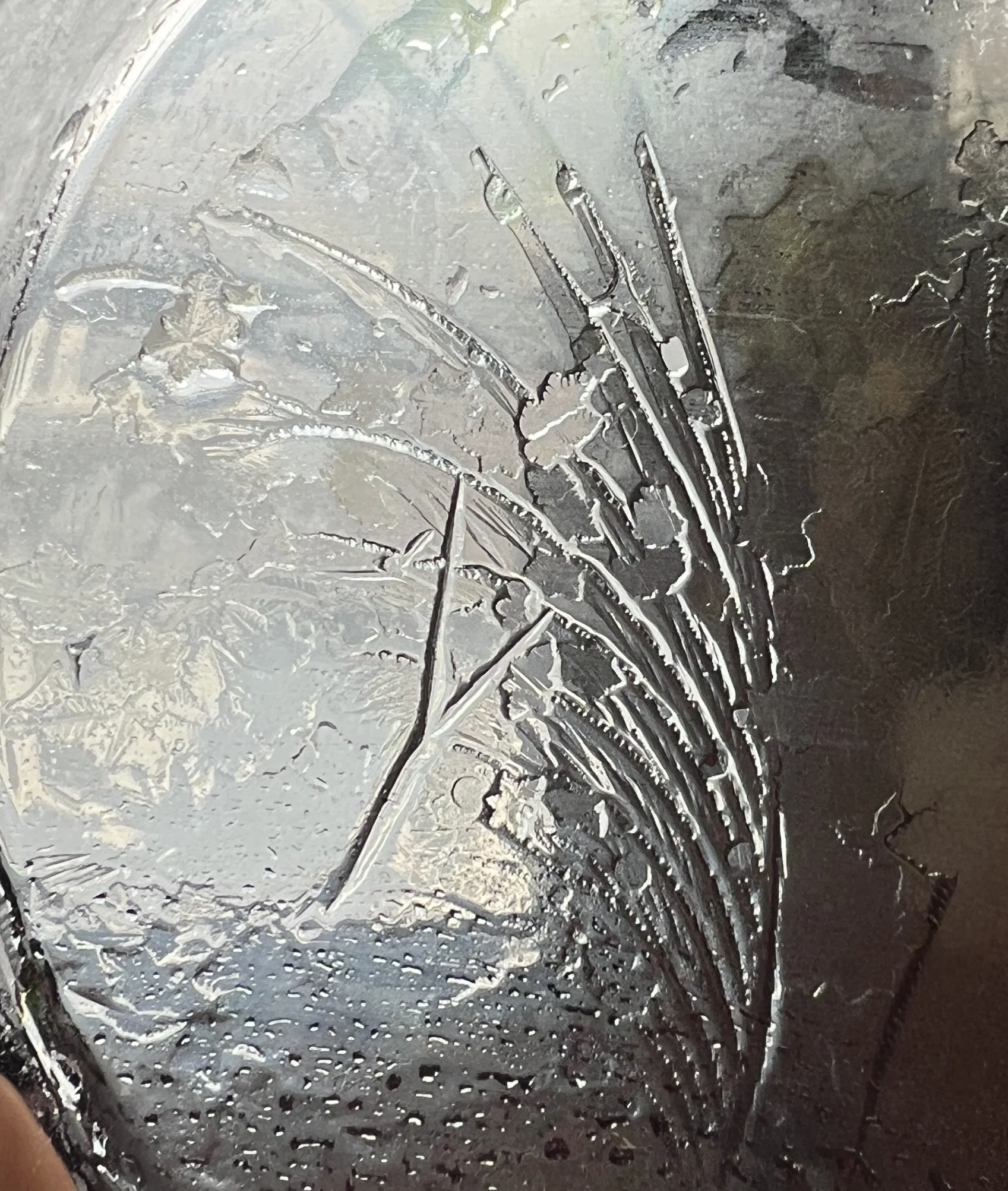 Close-up of a petri-dish with ice patterns and hydroglyph