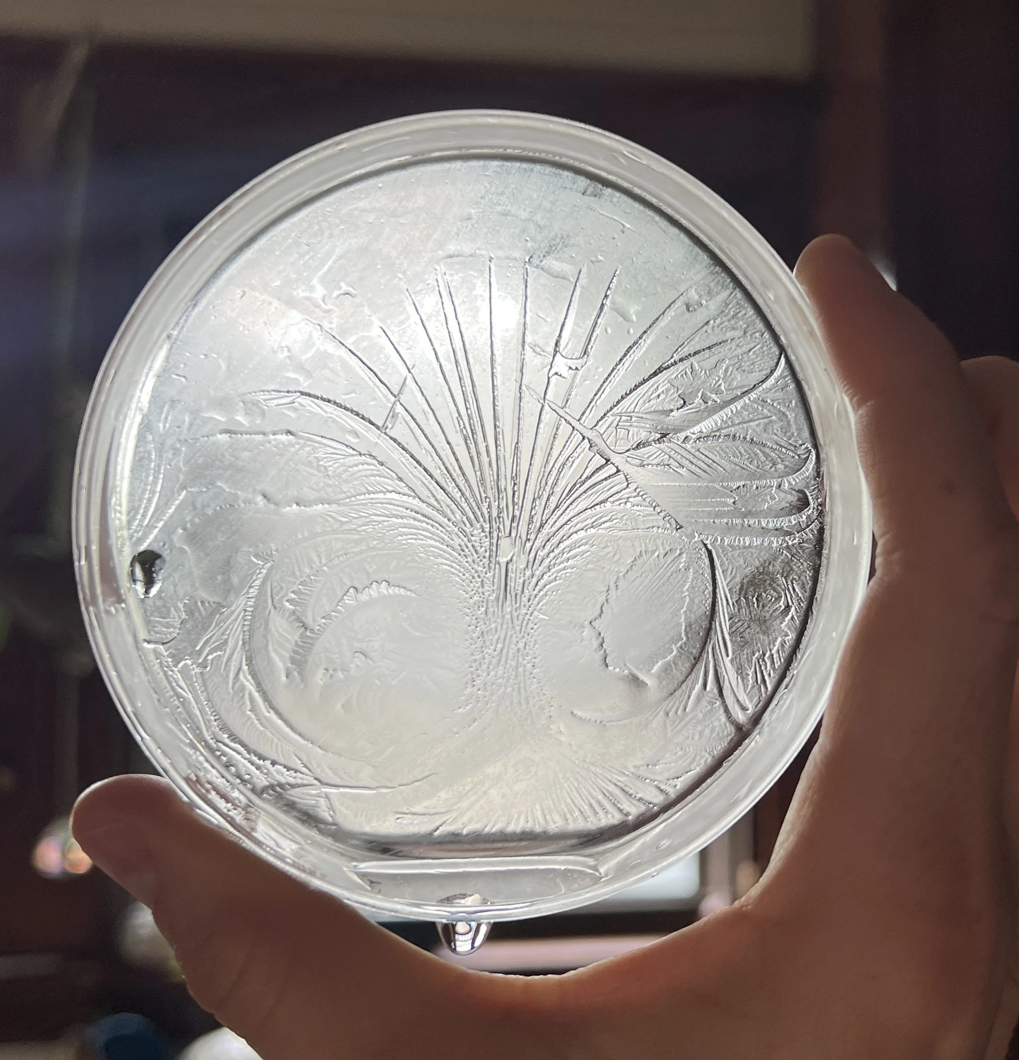 Close-up of a petri-dish with ice patterns and hydroglyph