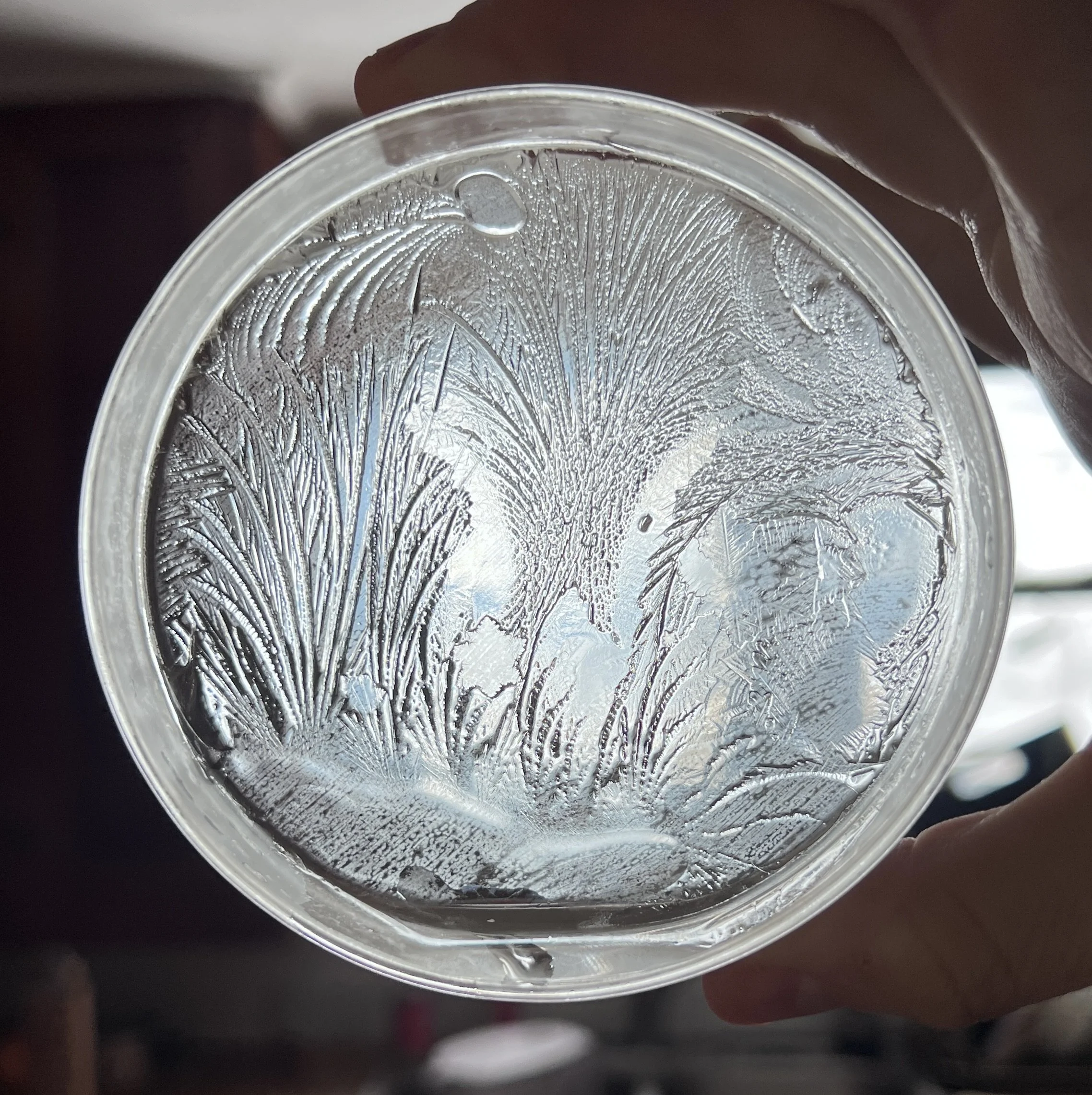 Close-up of a petri-dish with ice patterns and hydroglyph