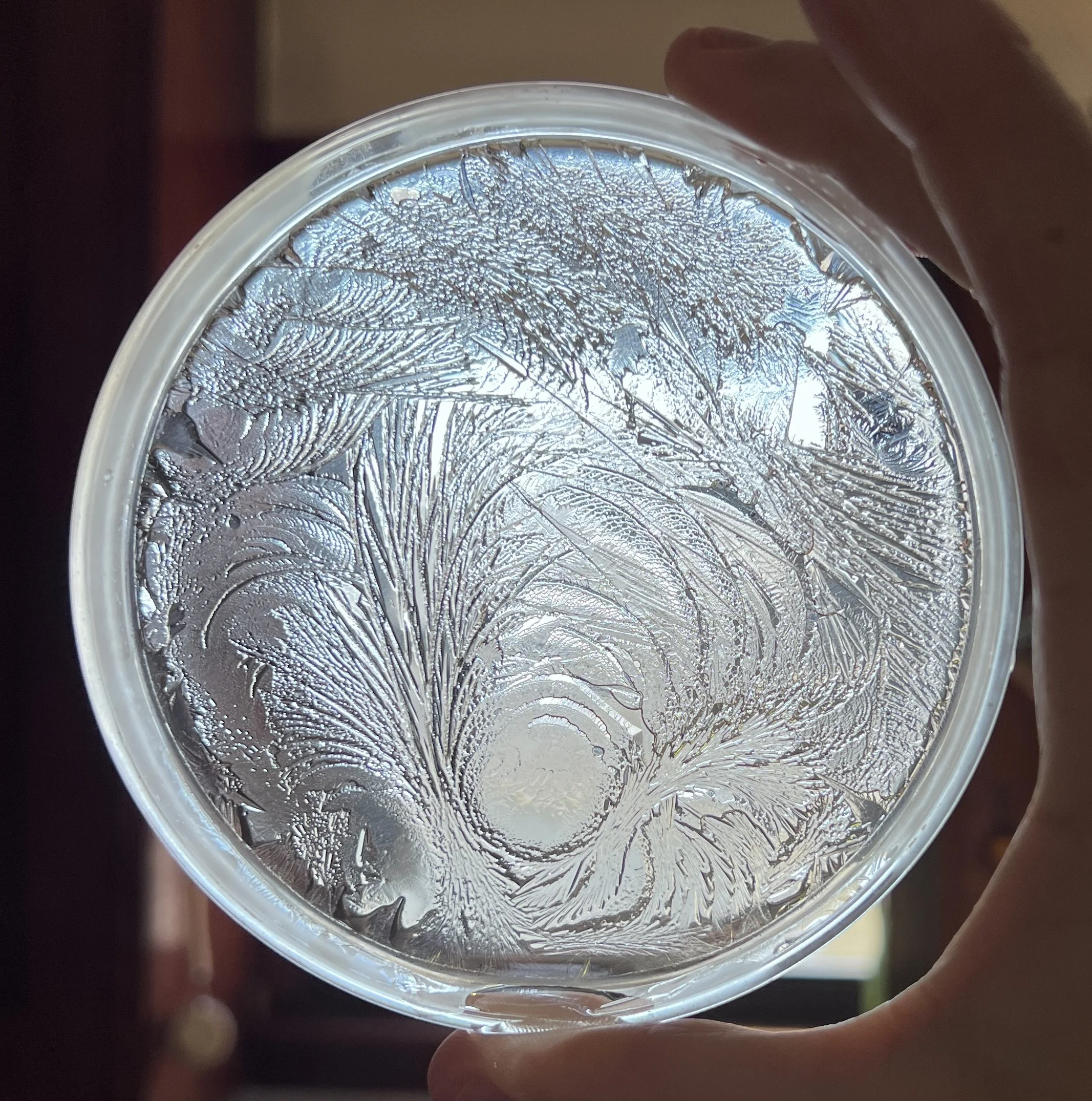 Close-up of a petri-dish with ice patterns and hydroglyph