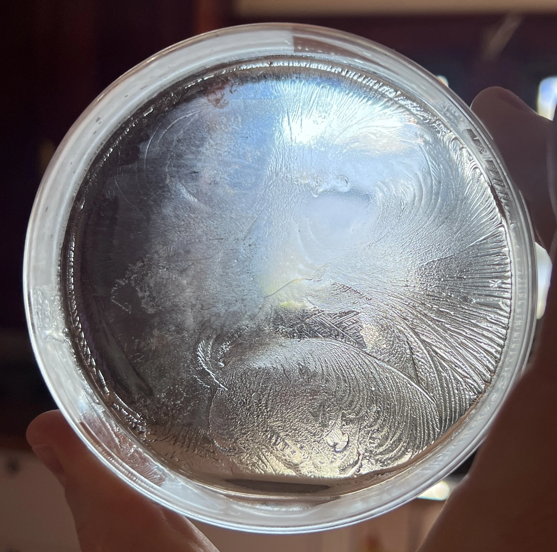 Close-up of a petri-dish with ice patterns and hydroglyph