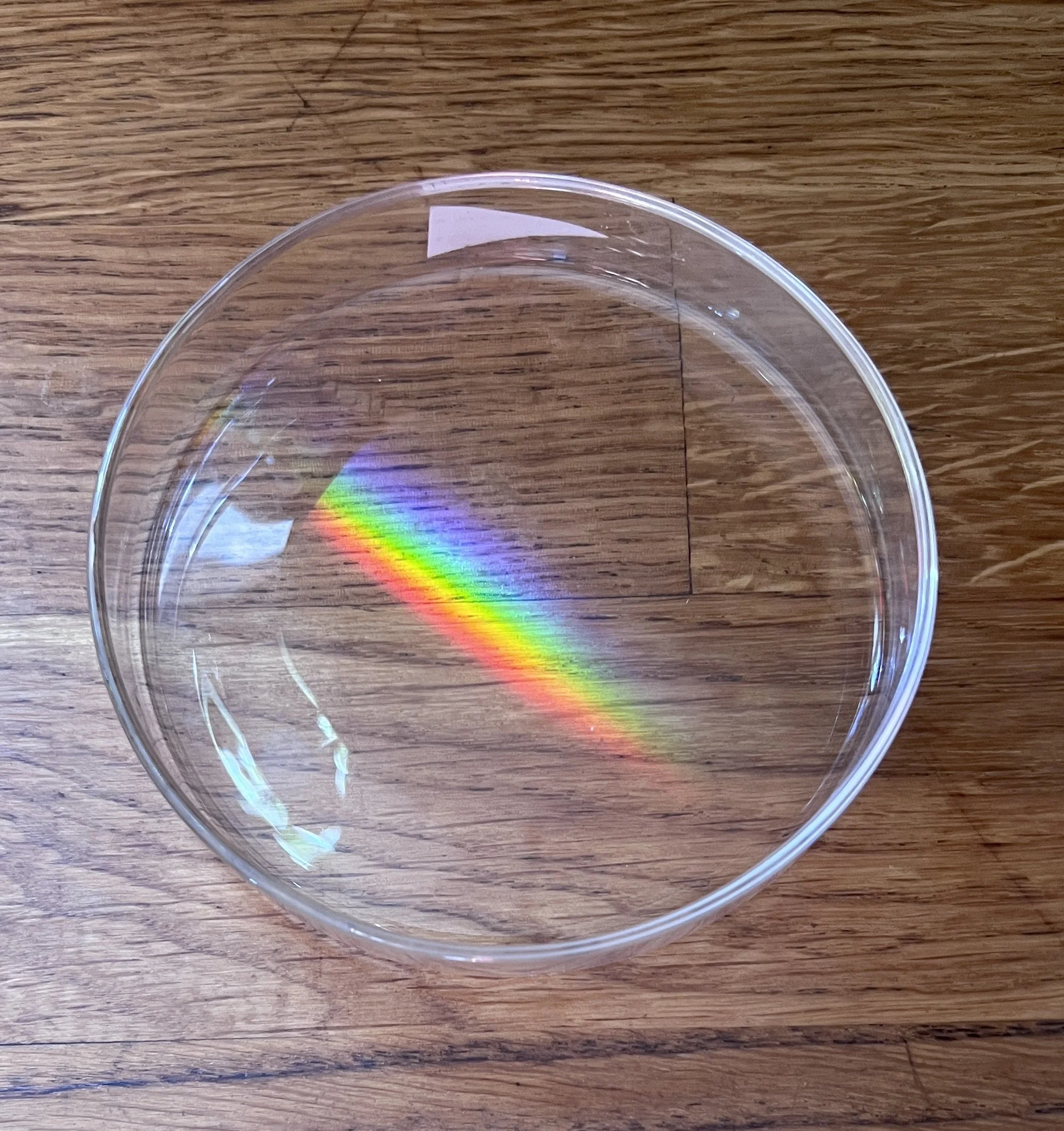 Close-up of a petri- dish with rainbow exposure sitting on a wooden surface.