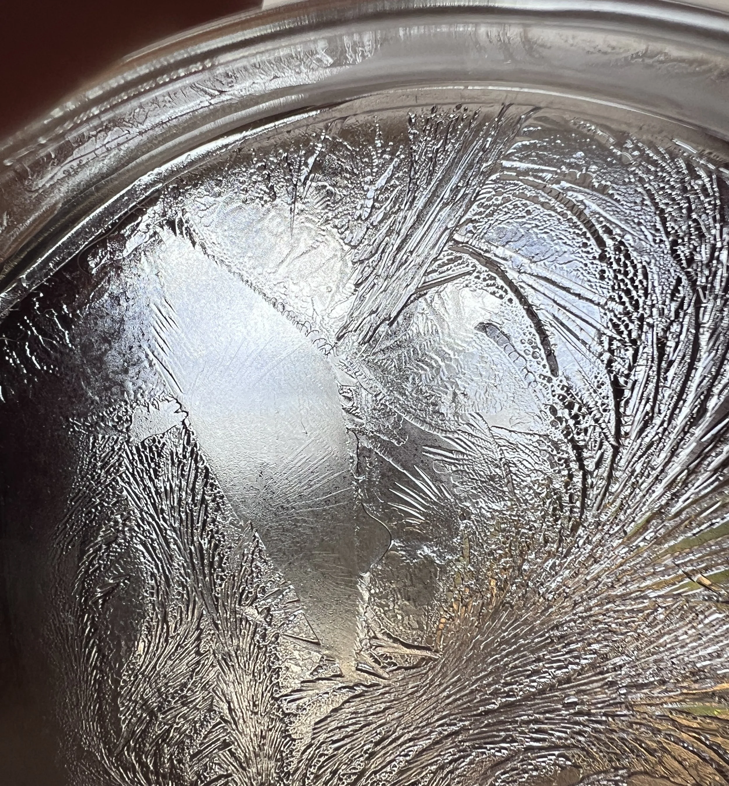 Close-up of a petri-dish with ice patterns and hydroglyph
