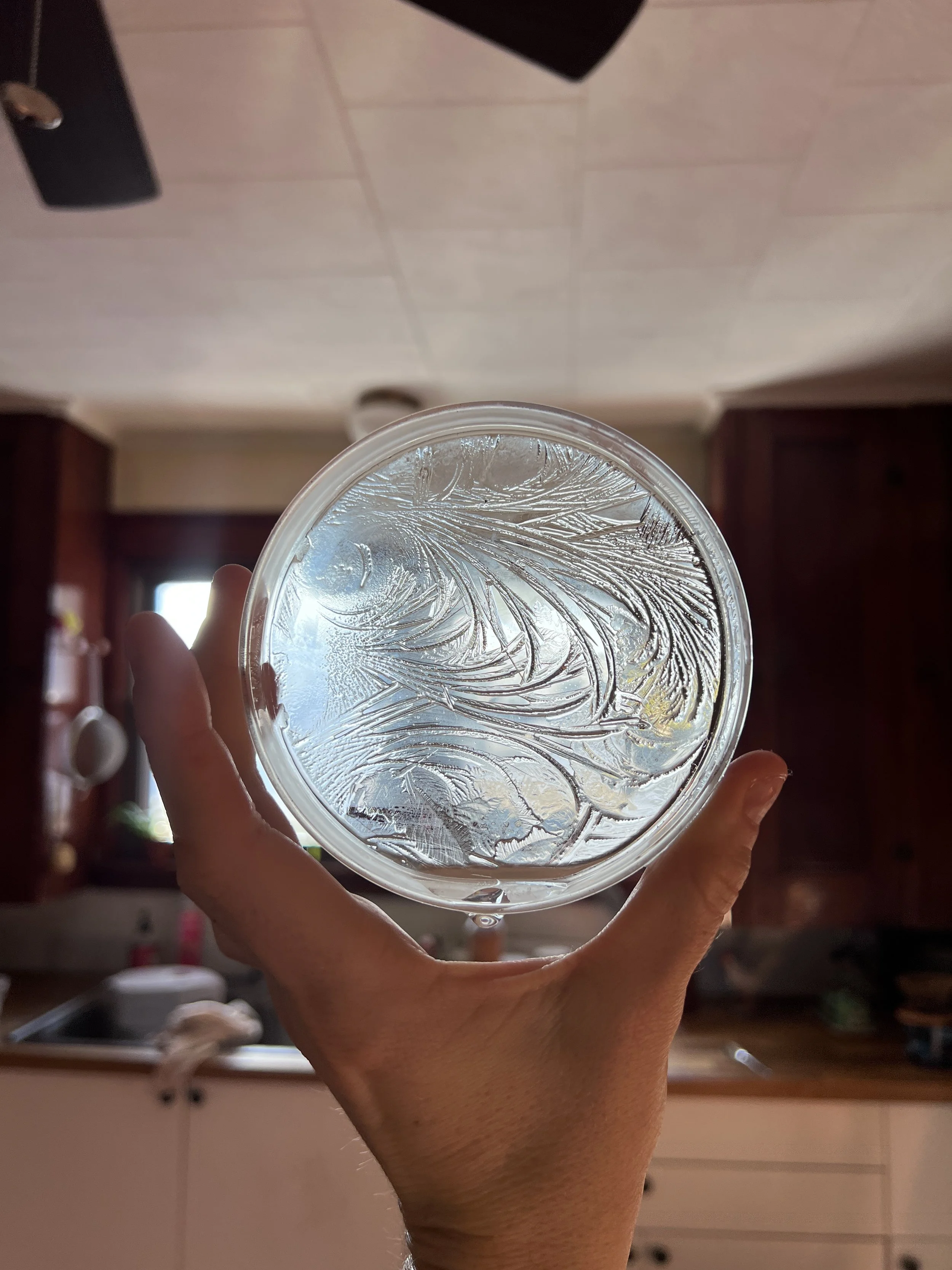 Close-up of a petri-dish with ice patterns and hydroglyph