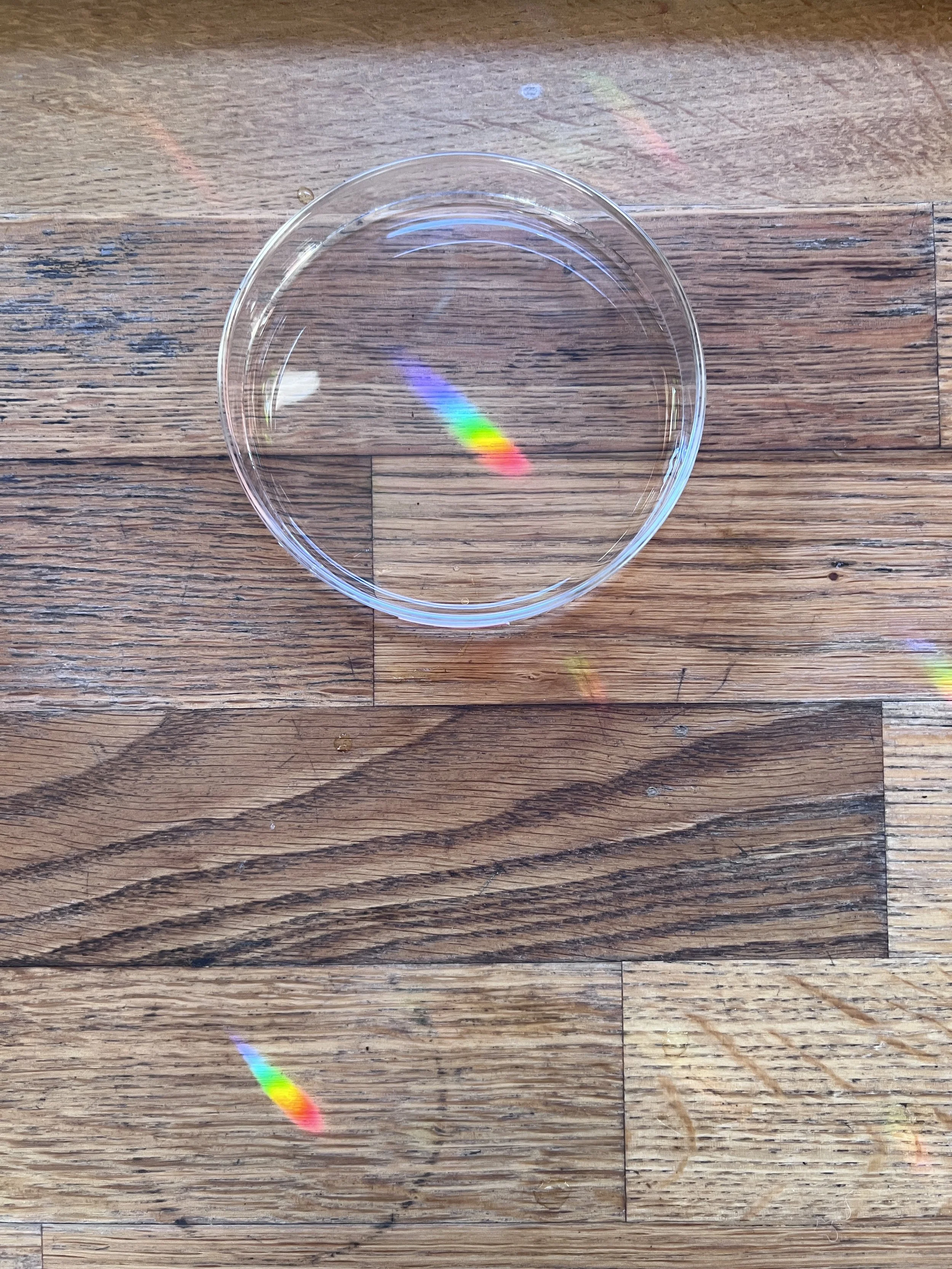 Close-up of a petri- dish with rainbow exposure sitting on a wooden surface.