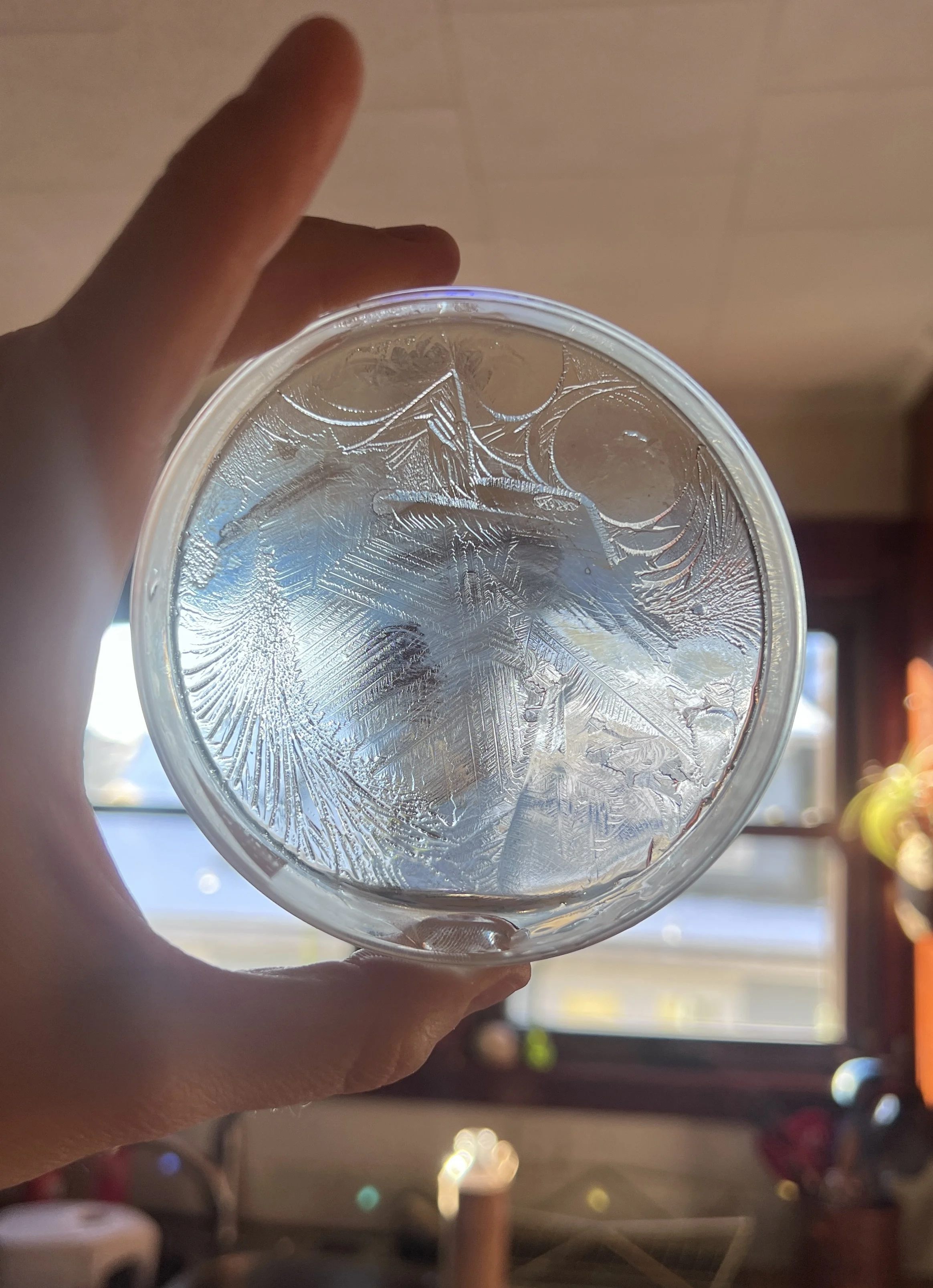 Close-up of a petri-dish with ice patterns and hydroglyph