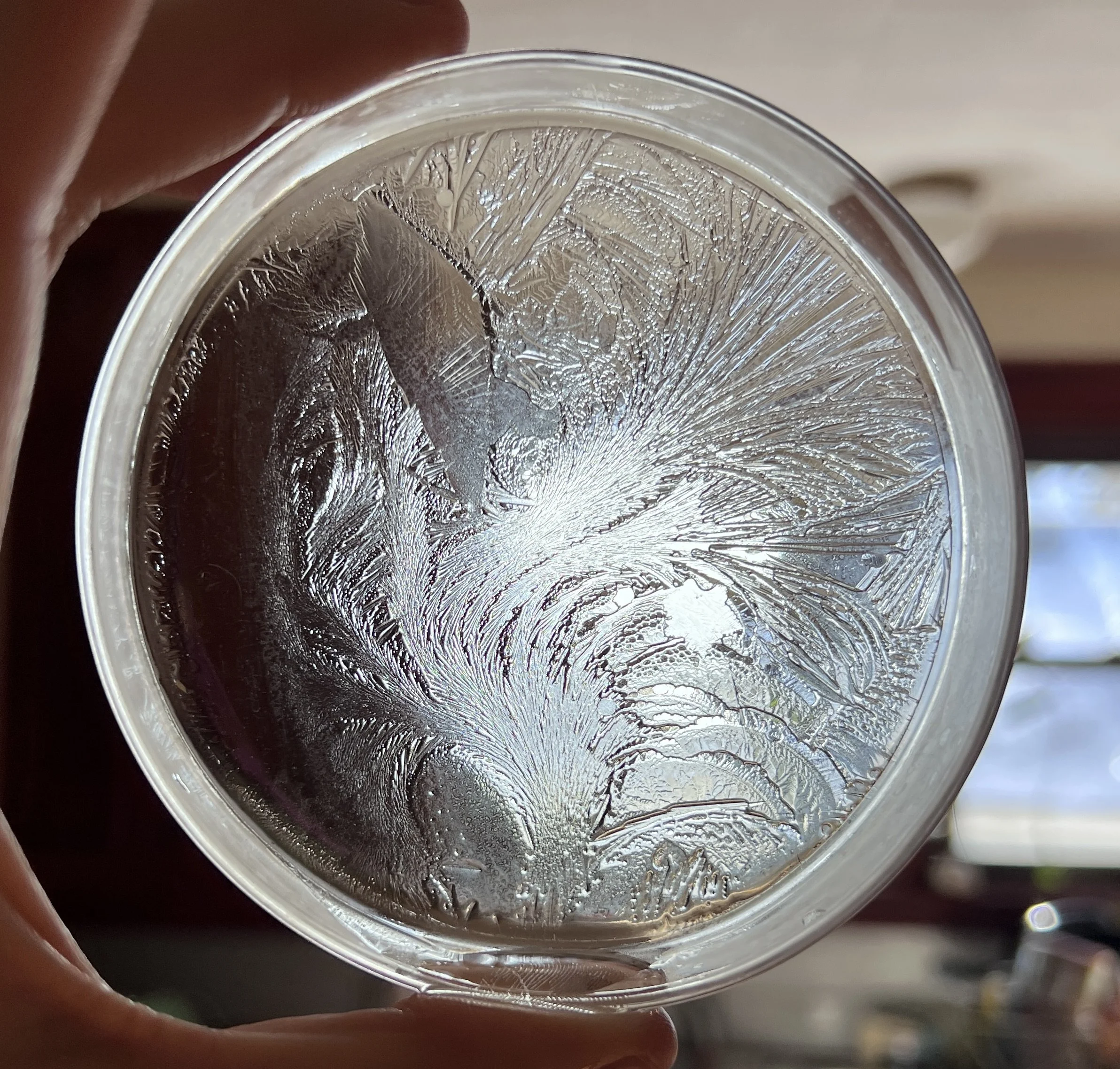 Close-up of a petri-dish with ice patterns and hydroglyph