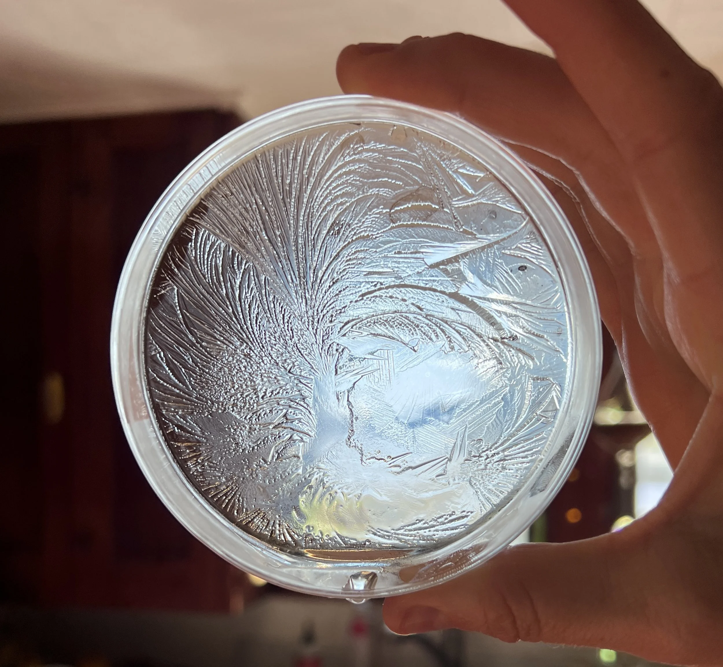 Close-up of a clear glass cup filled with a dark beverage, held by a person's hand with fingers visible at the edge.