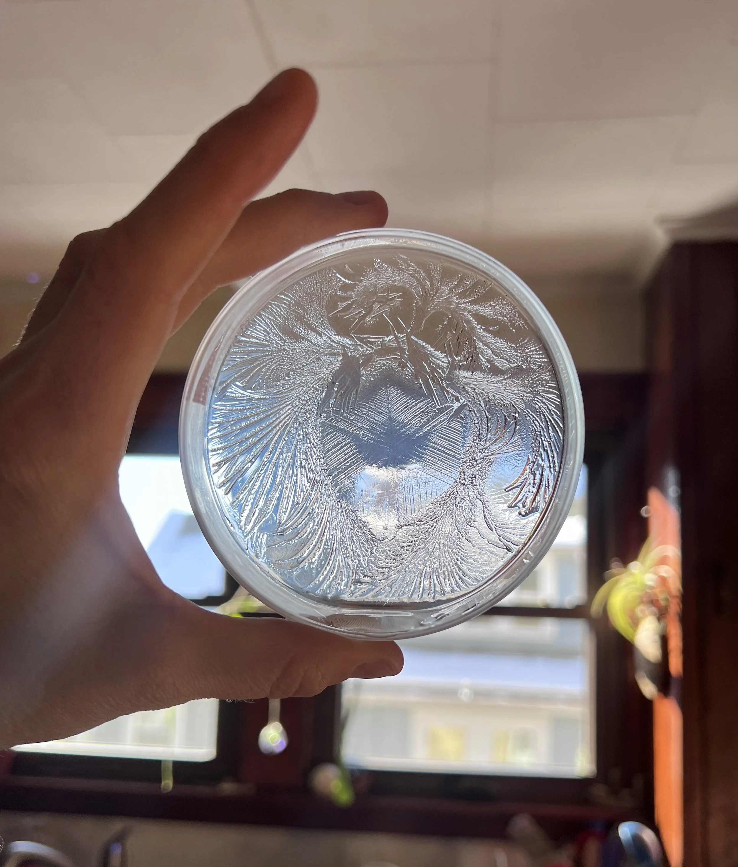 Close-up of a petri-dish with ice patterns and hydroglyph