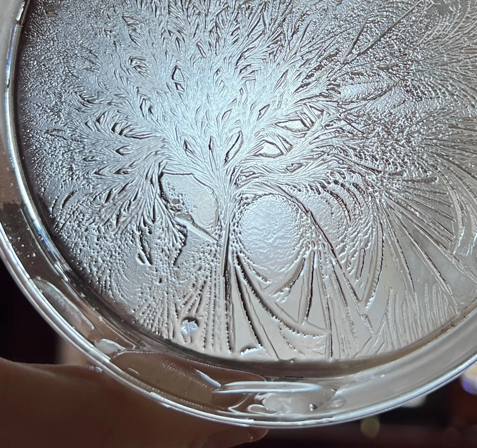 Close-up of a petri-dish with ice patterns and hydroglyph