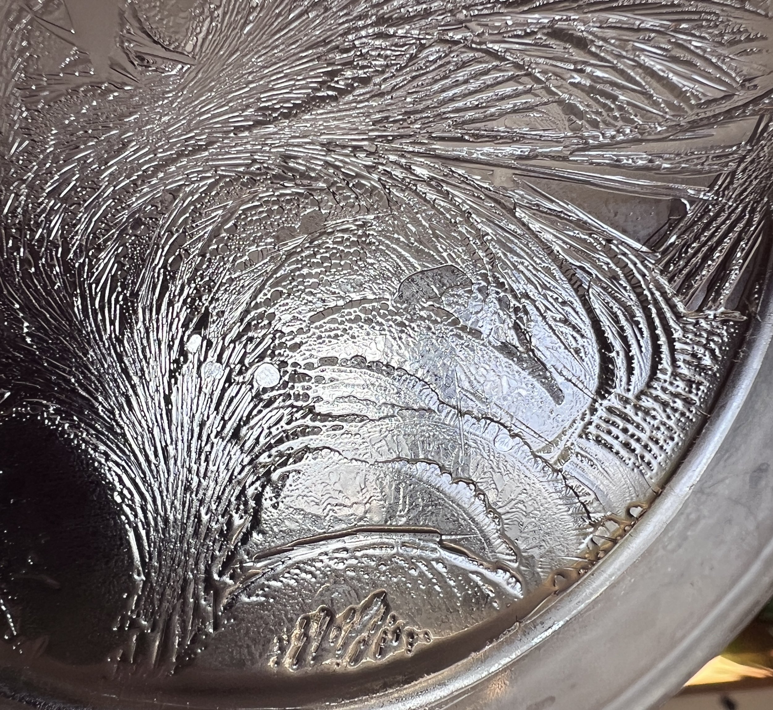 Close-up of a petri-dish with ice patterns and hydroglyph