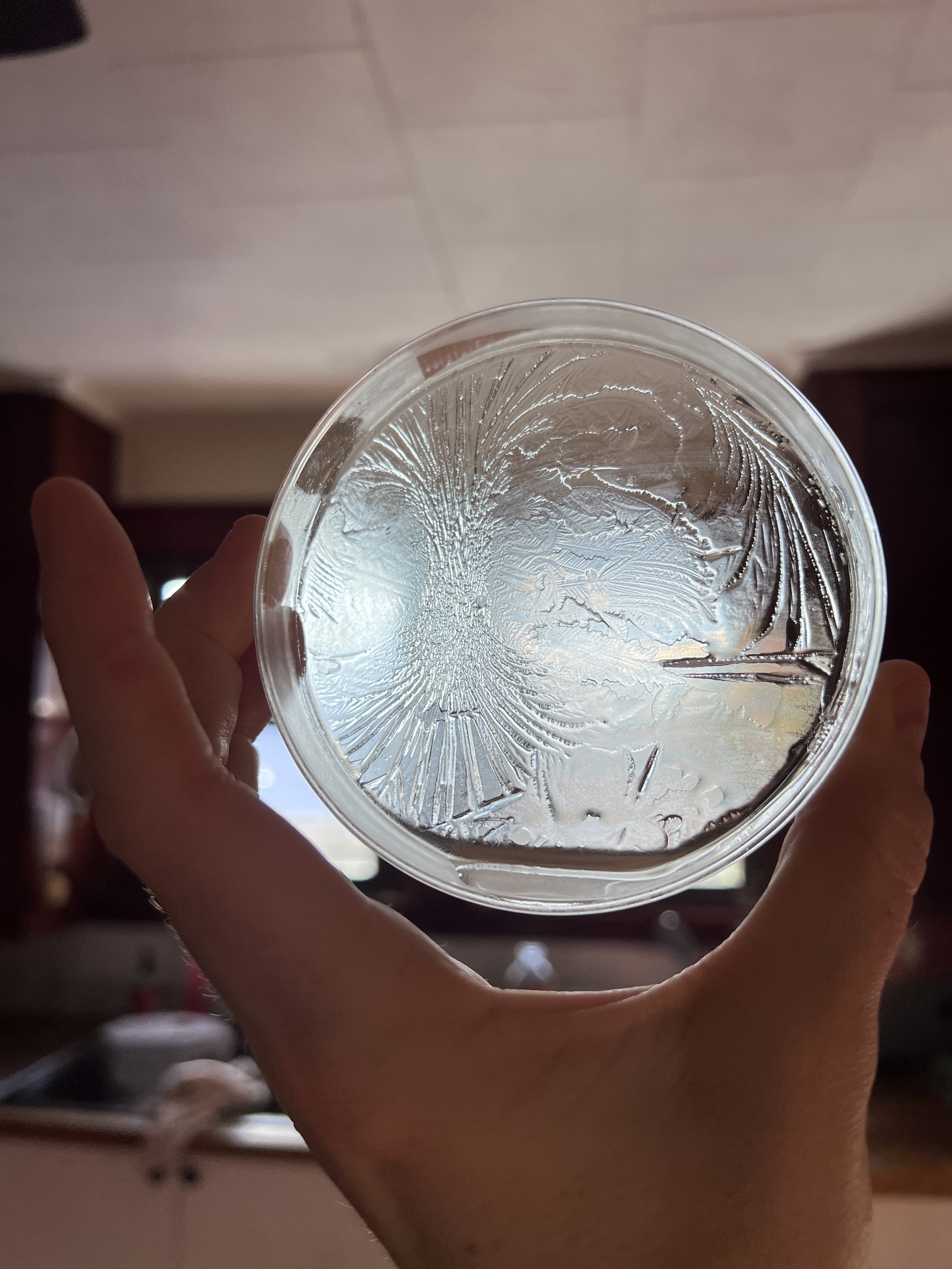 Close-up of a petri-dish with ice patterns and hydroglyph