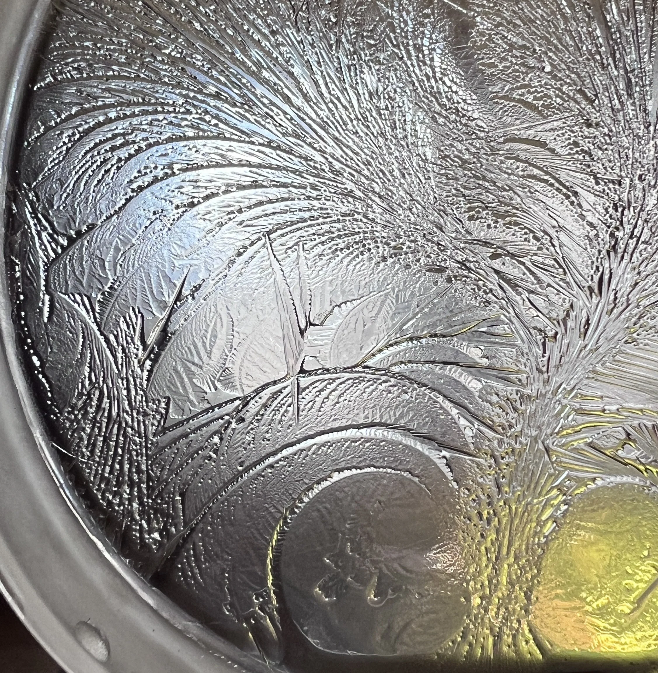 Close-up of a petri-dish with ice patterns and hydroglyph