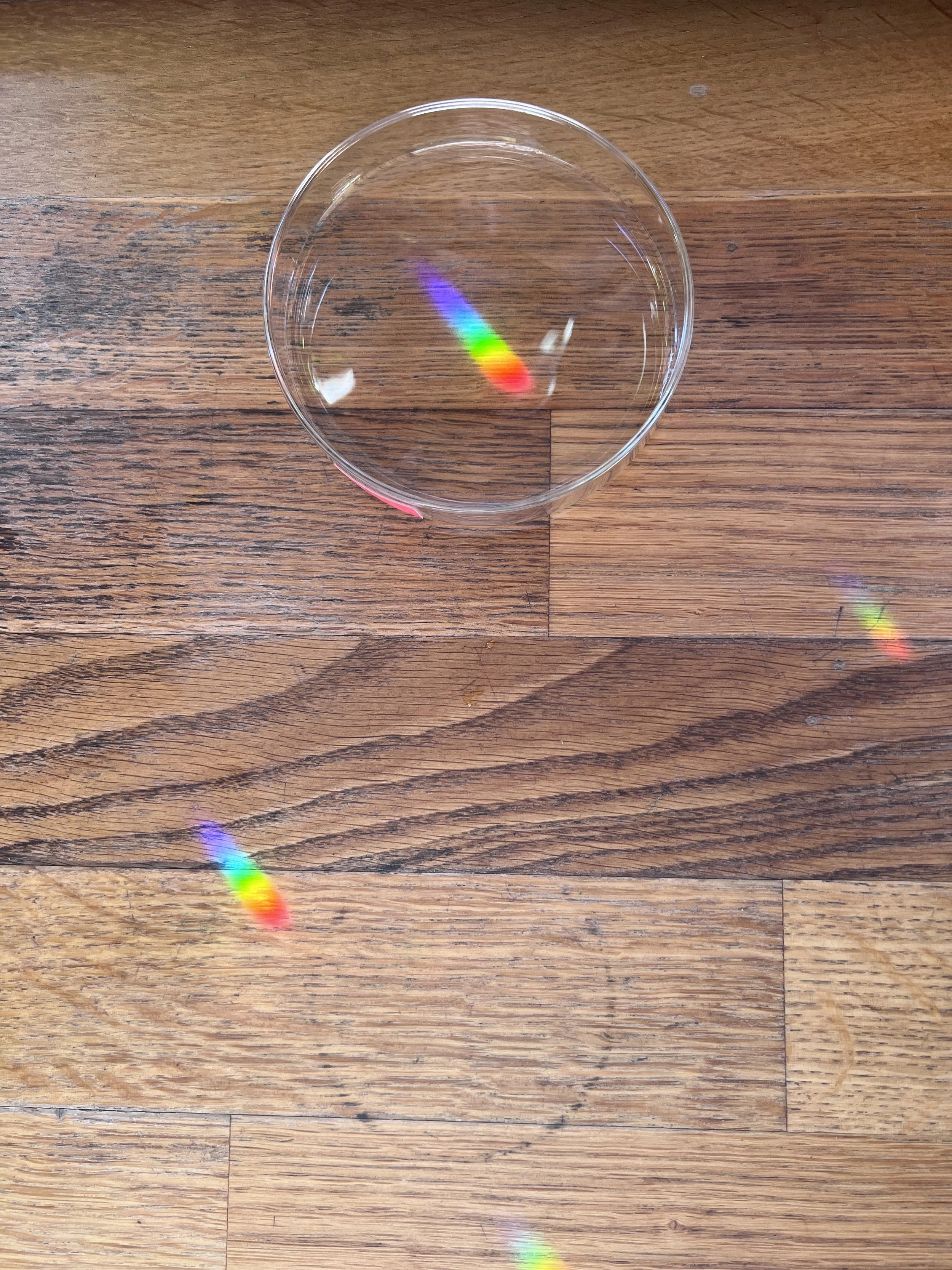 Close-up of a petri- dish with rainbow exposure sitting on a wooden surface.