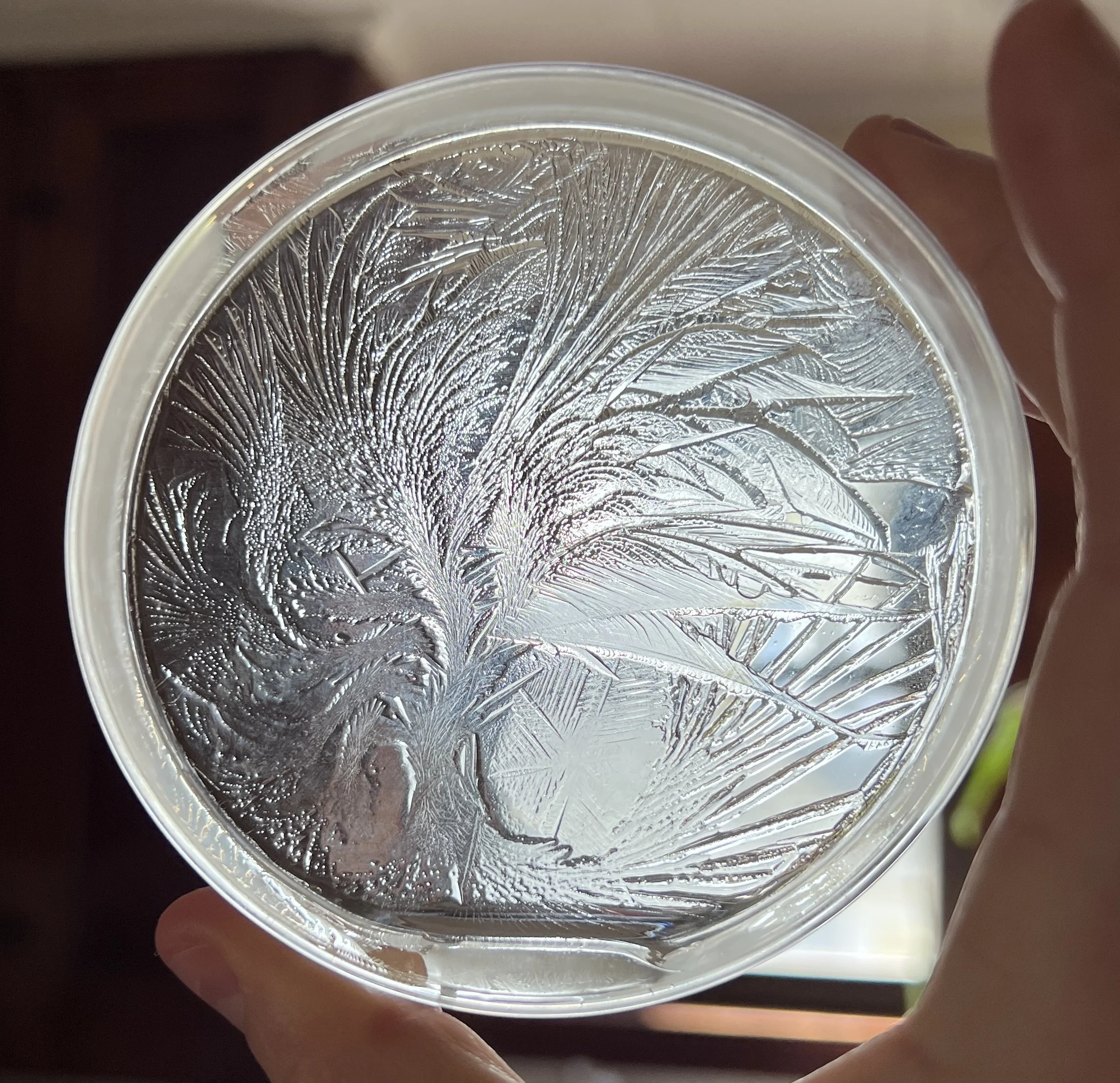 Close-up of a petri-dish with ice patterns and hydroglyph