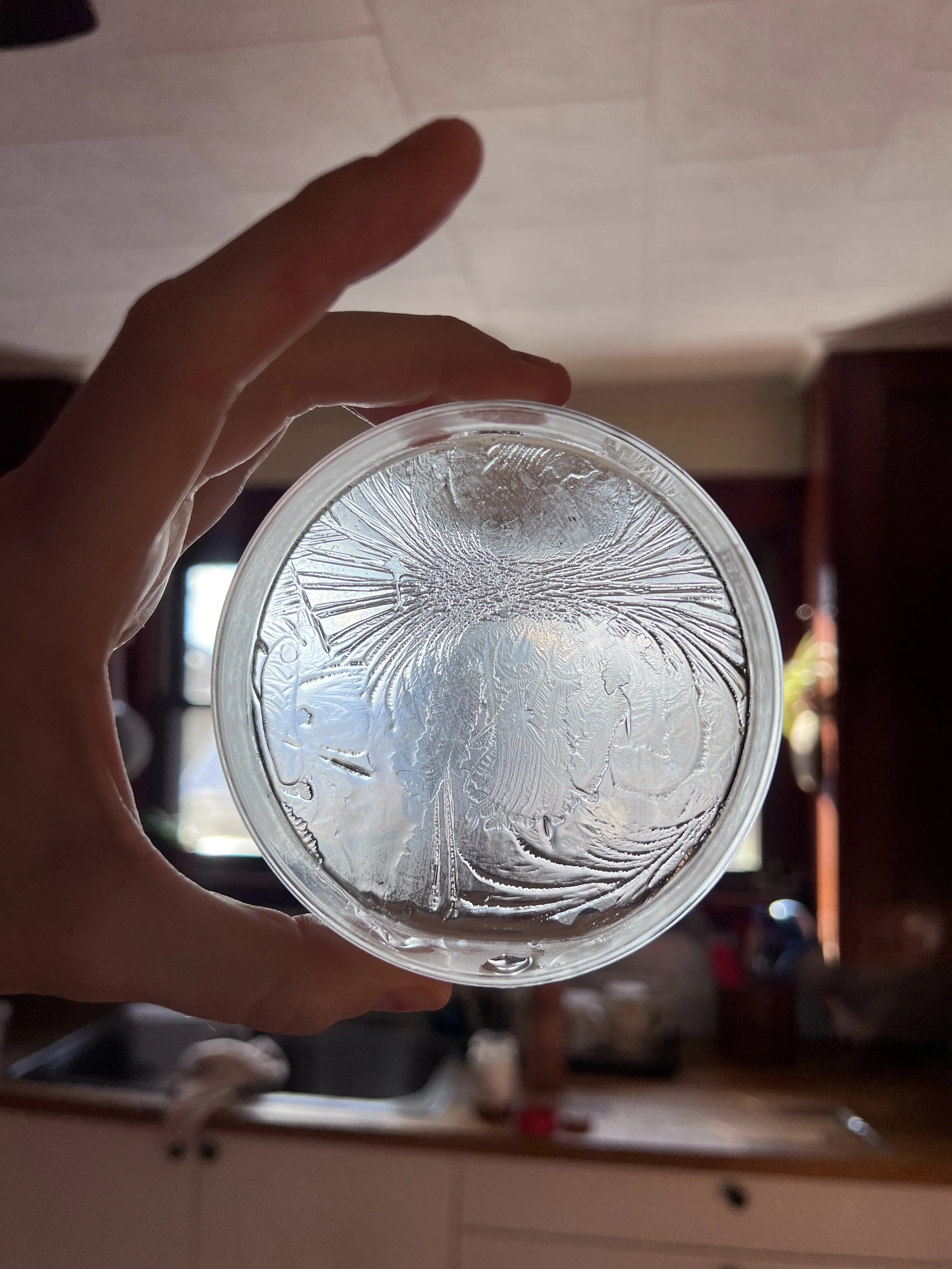Close-up of a petri-dish with ice patterns and hydroglyph