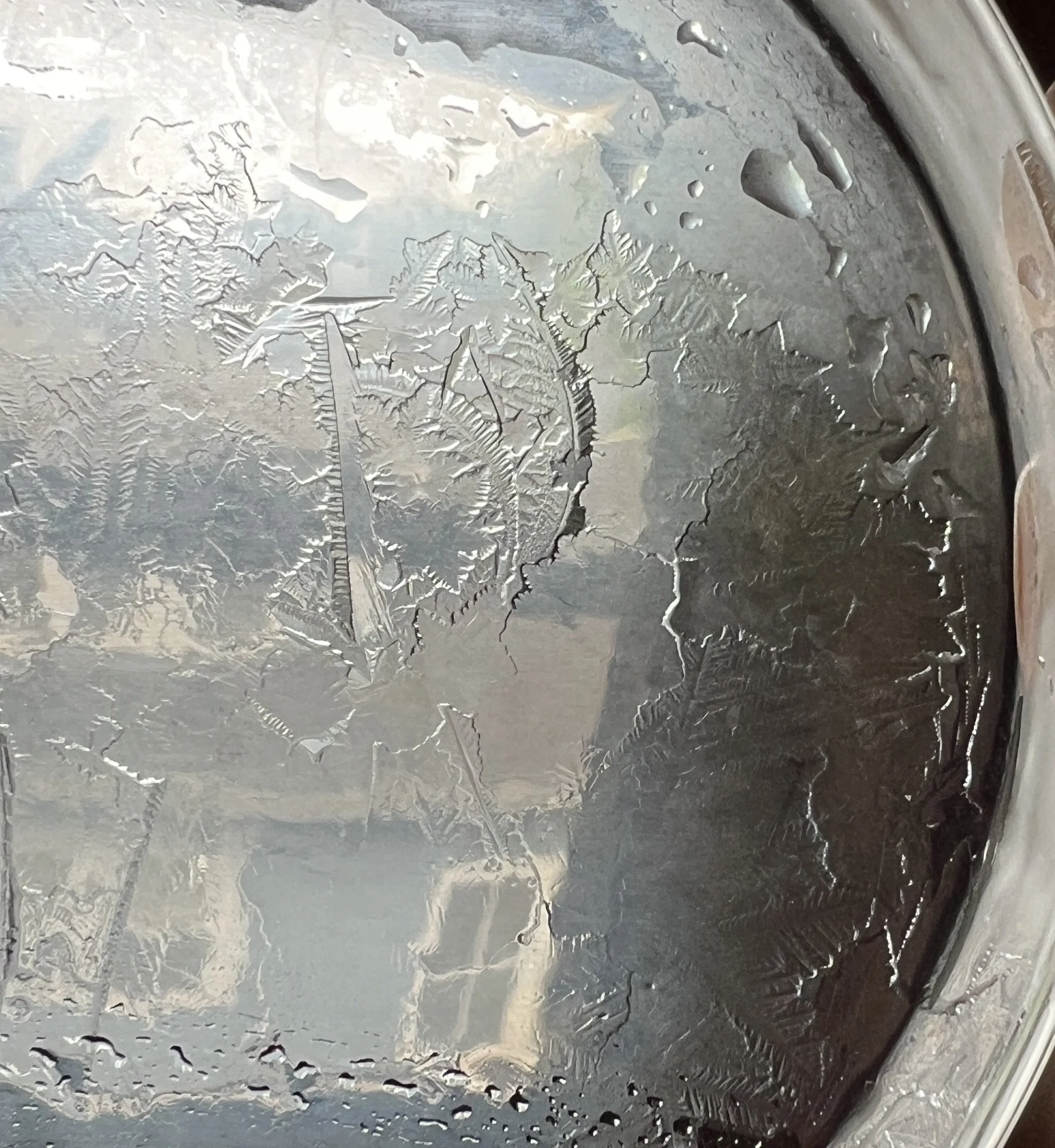 Close-up of a petri-dish with ice patterns and hydroglyph
