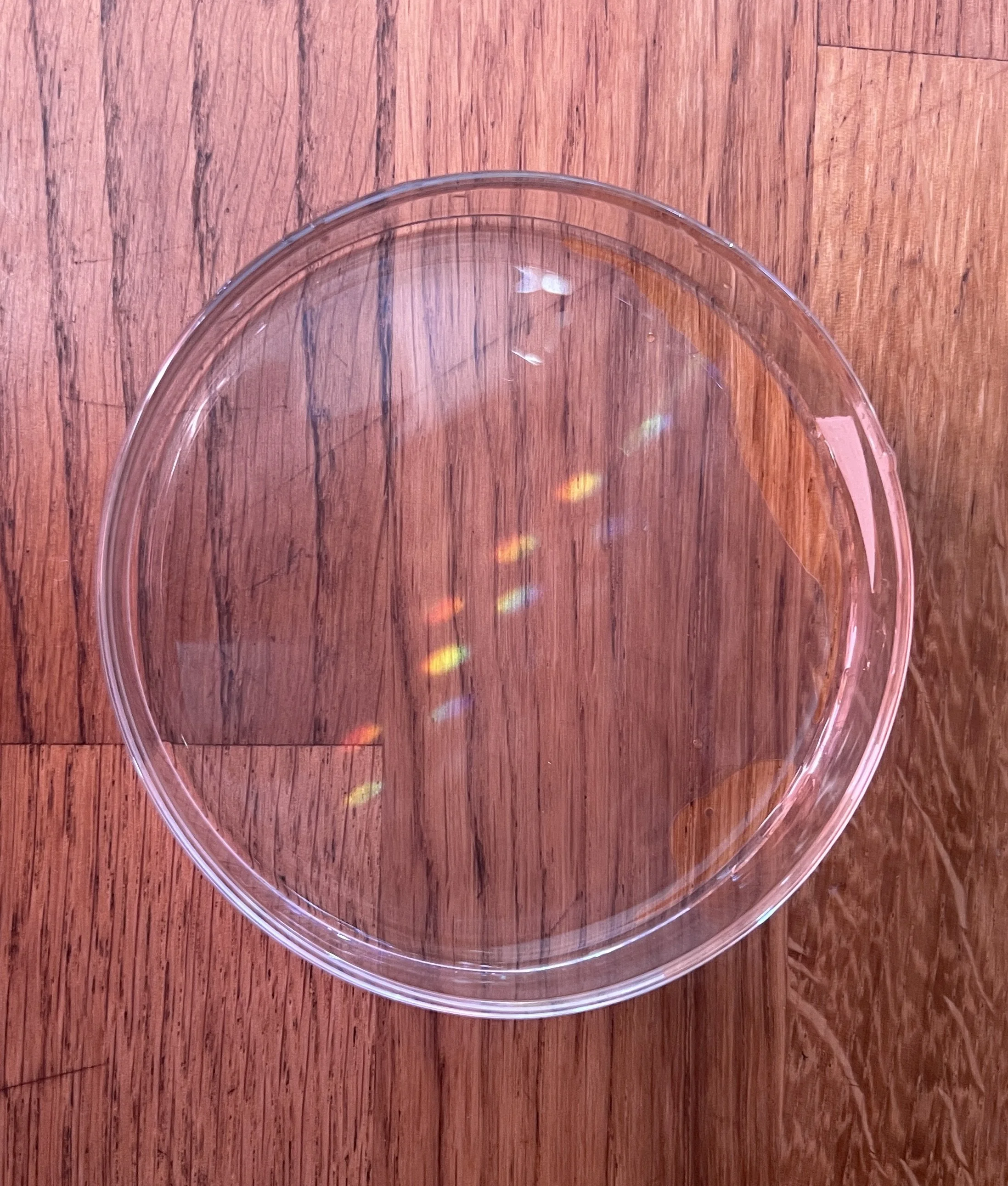 Close-up of a petri- dish with rainbow exposure sitting on a wooden surface.