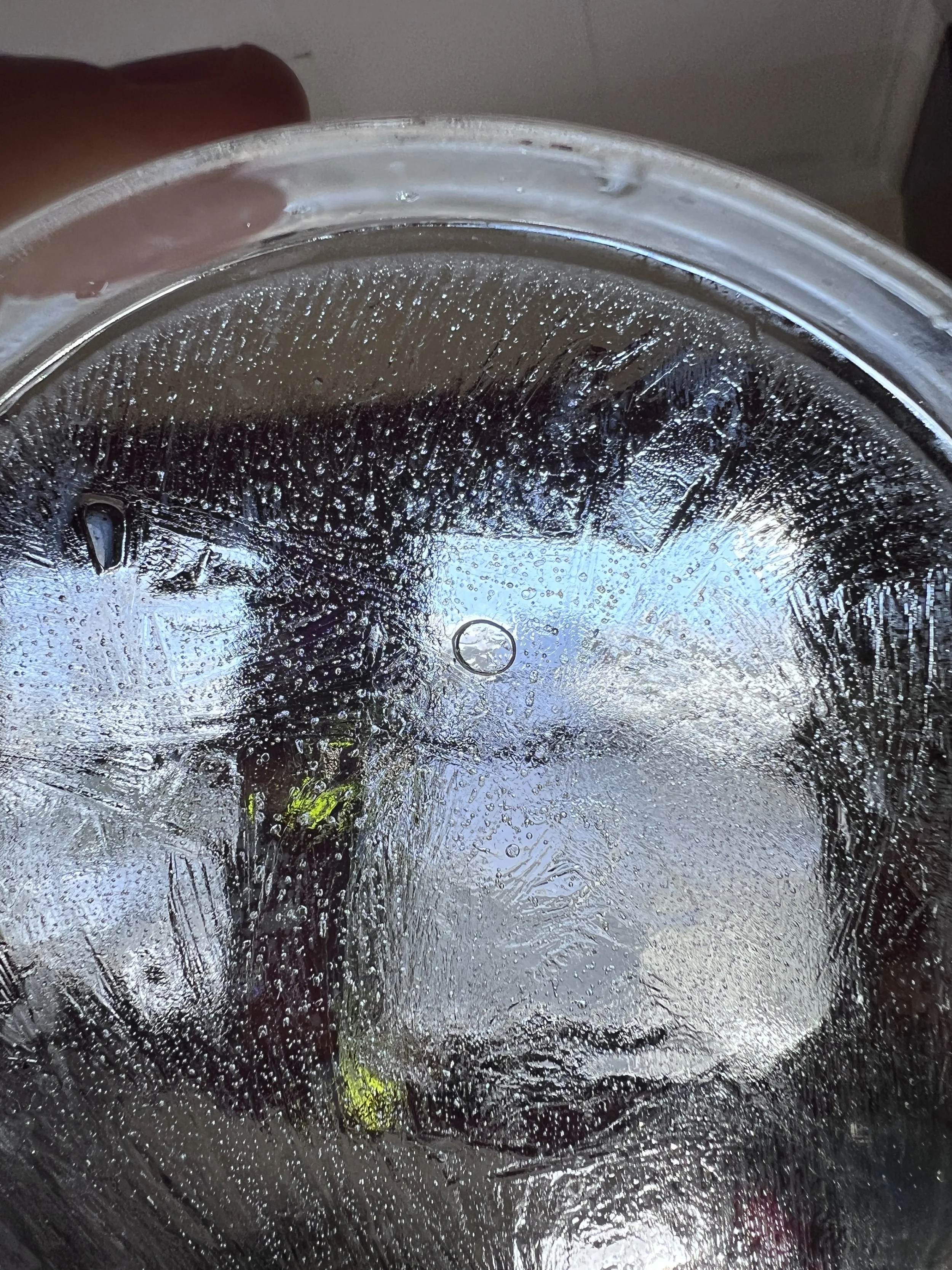 Close-up of a petri-dish with ice patterns and hydroglyph