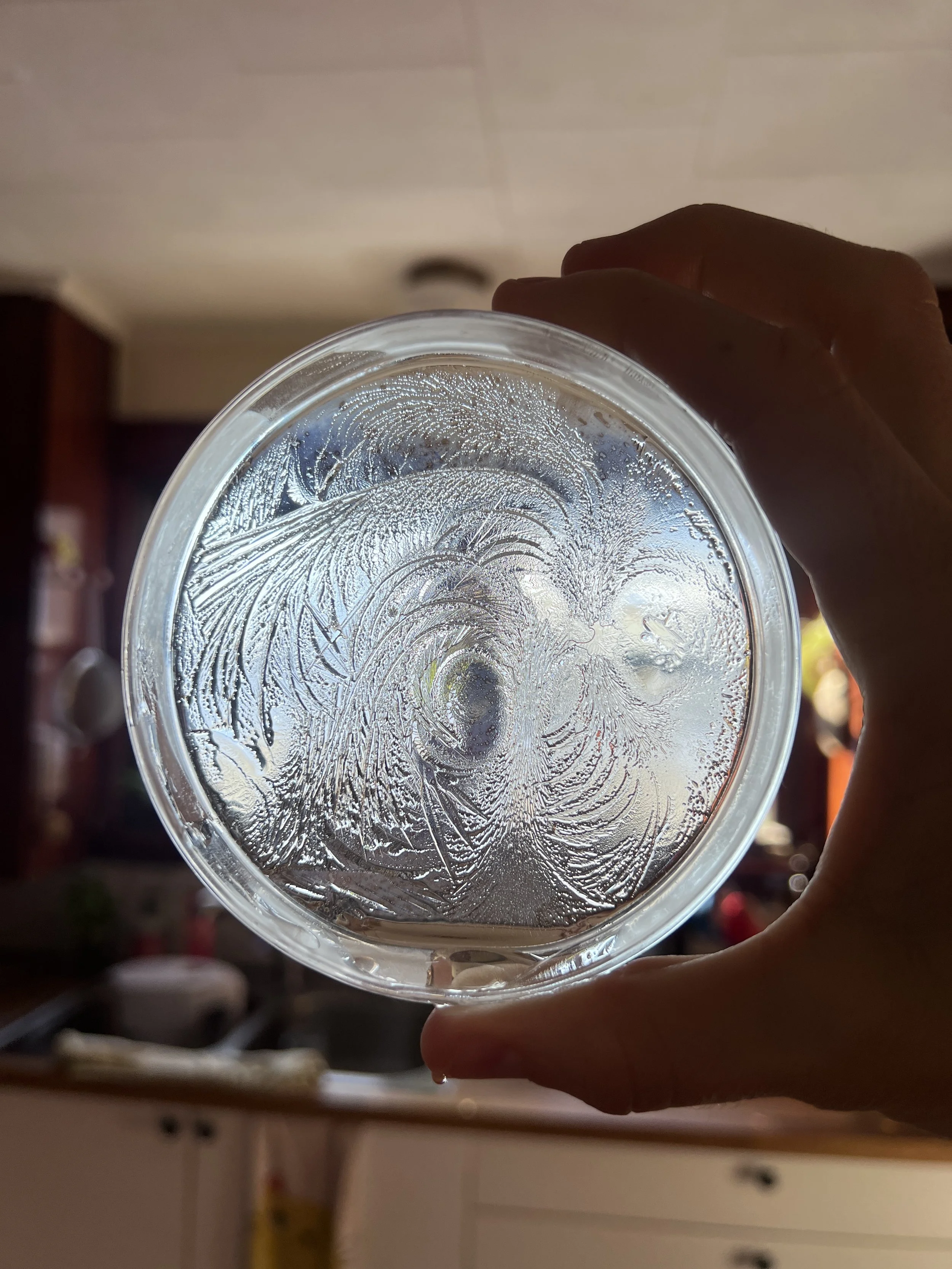 Close-up of a petri-dish with ice patterns and hydroglyph