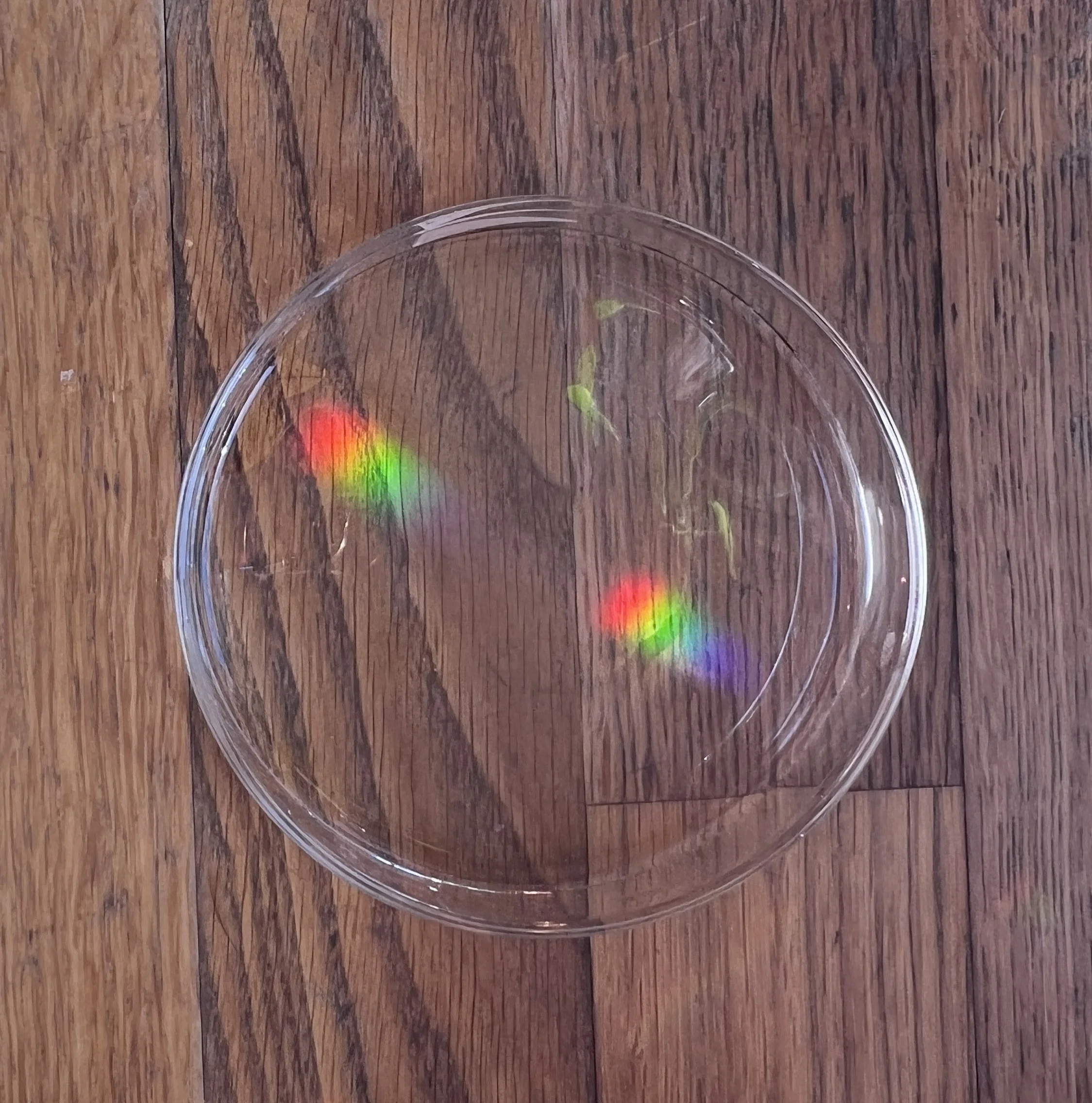 Close-up of a petri- dish with rainbow exposure sitting on a wooden surface.