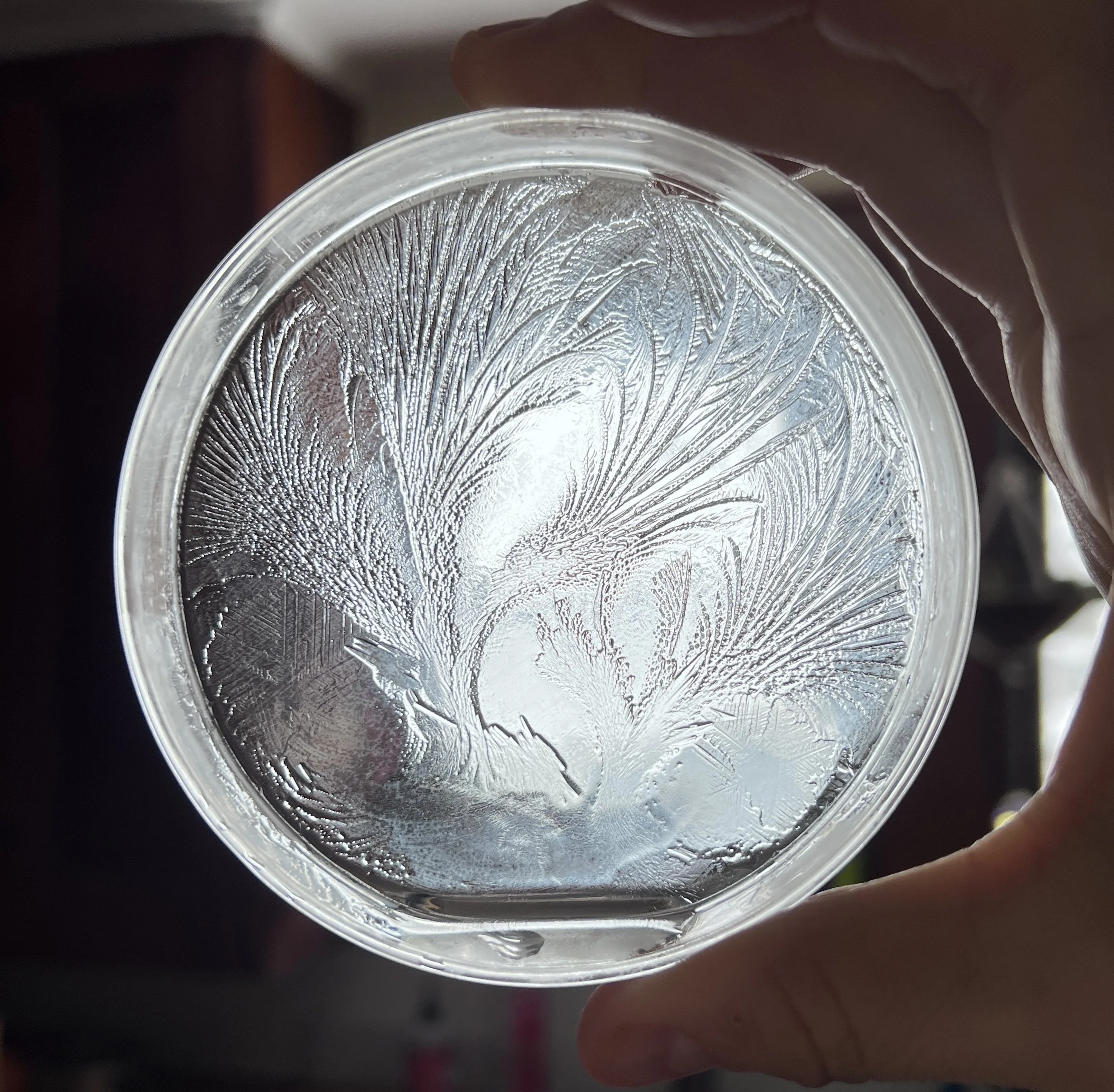 Close-up of a petri-dish with ice patterns and hydroglyph