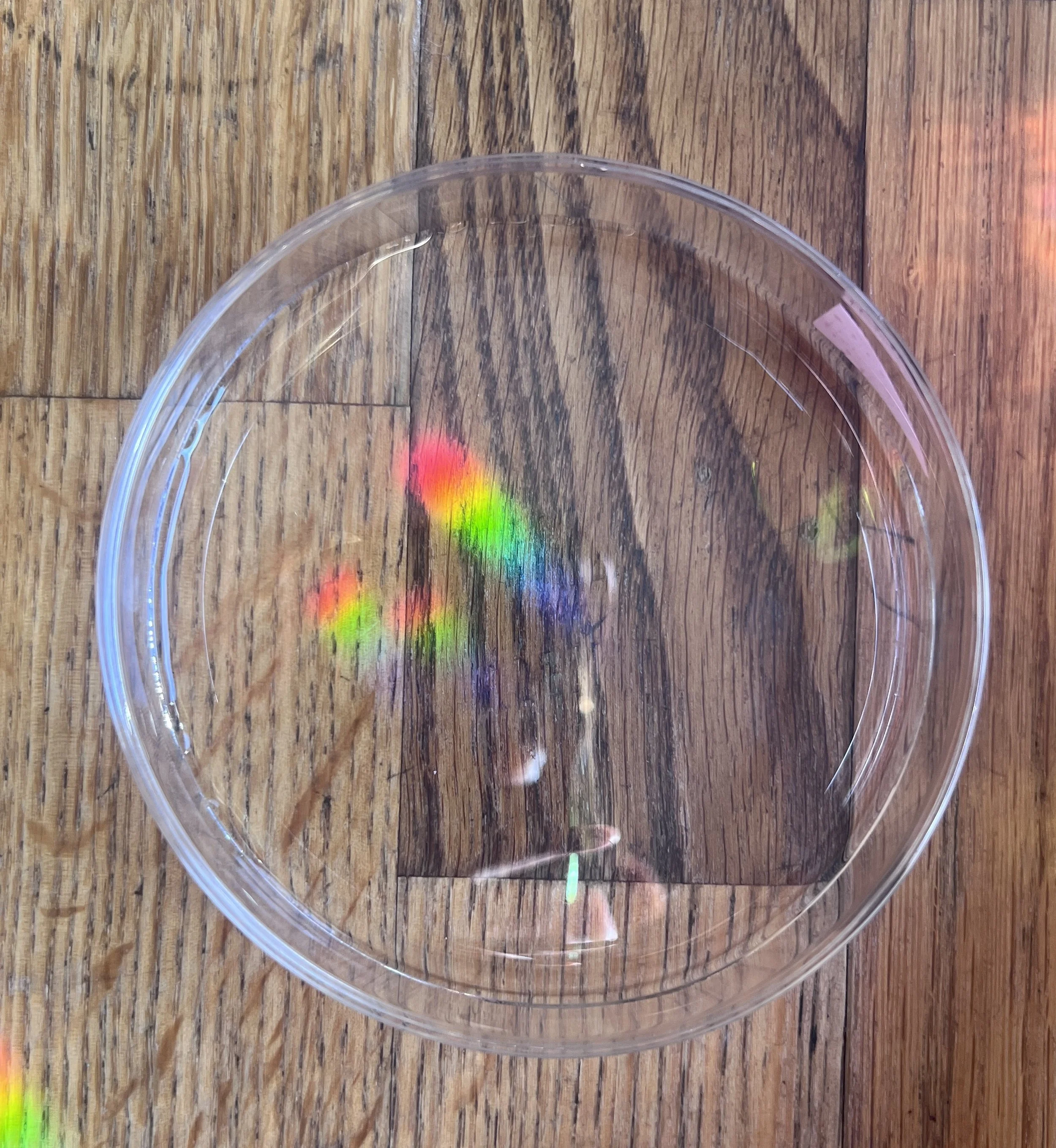 Close-up of a petri- dish with rainbow exposure sitting on a wooden surface.