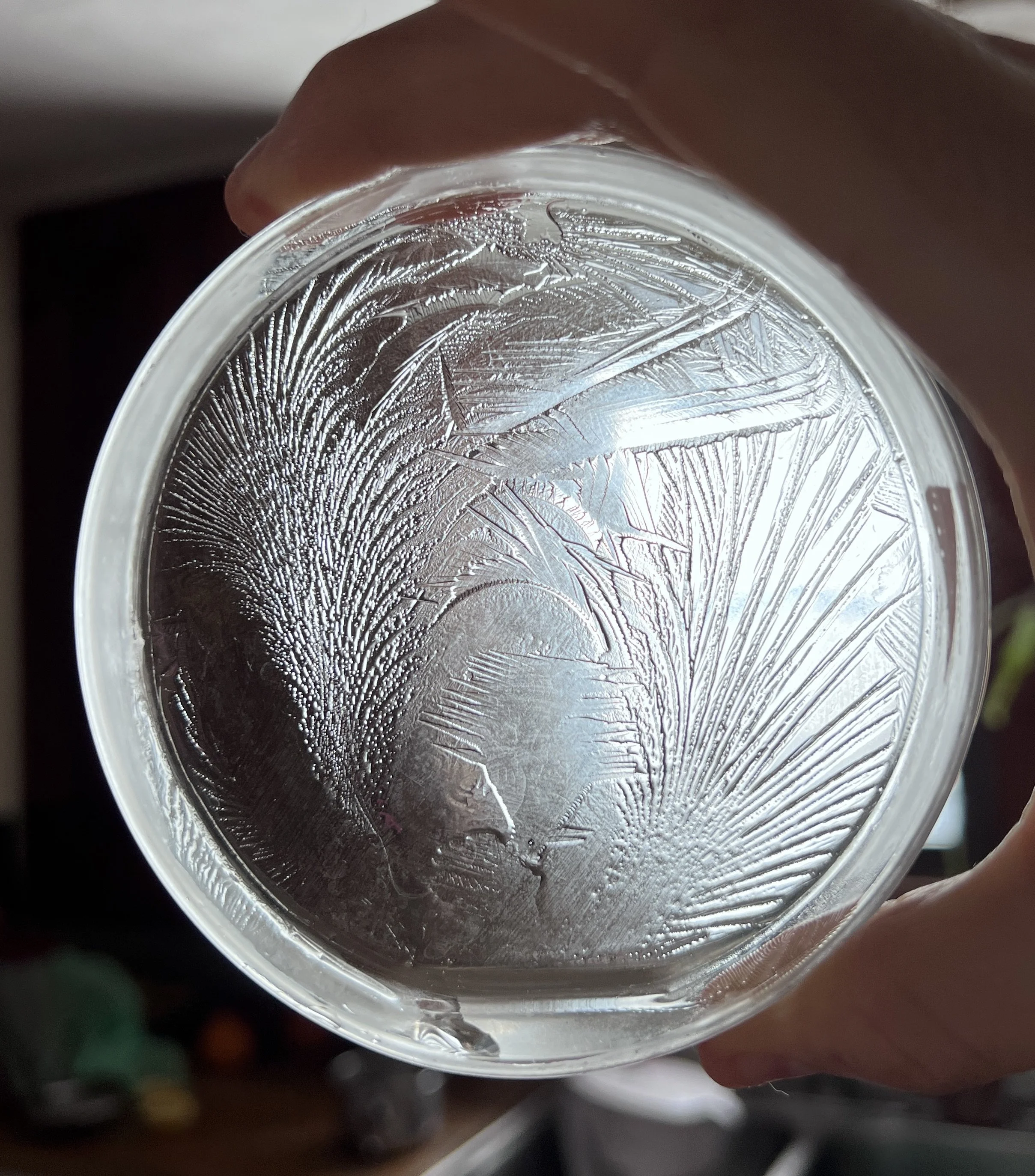 Close-up of a petri-dish with ice patterns and hydroglyph