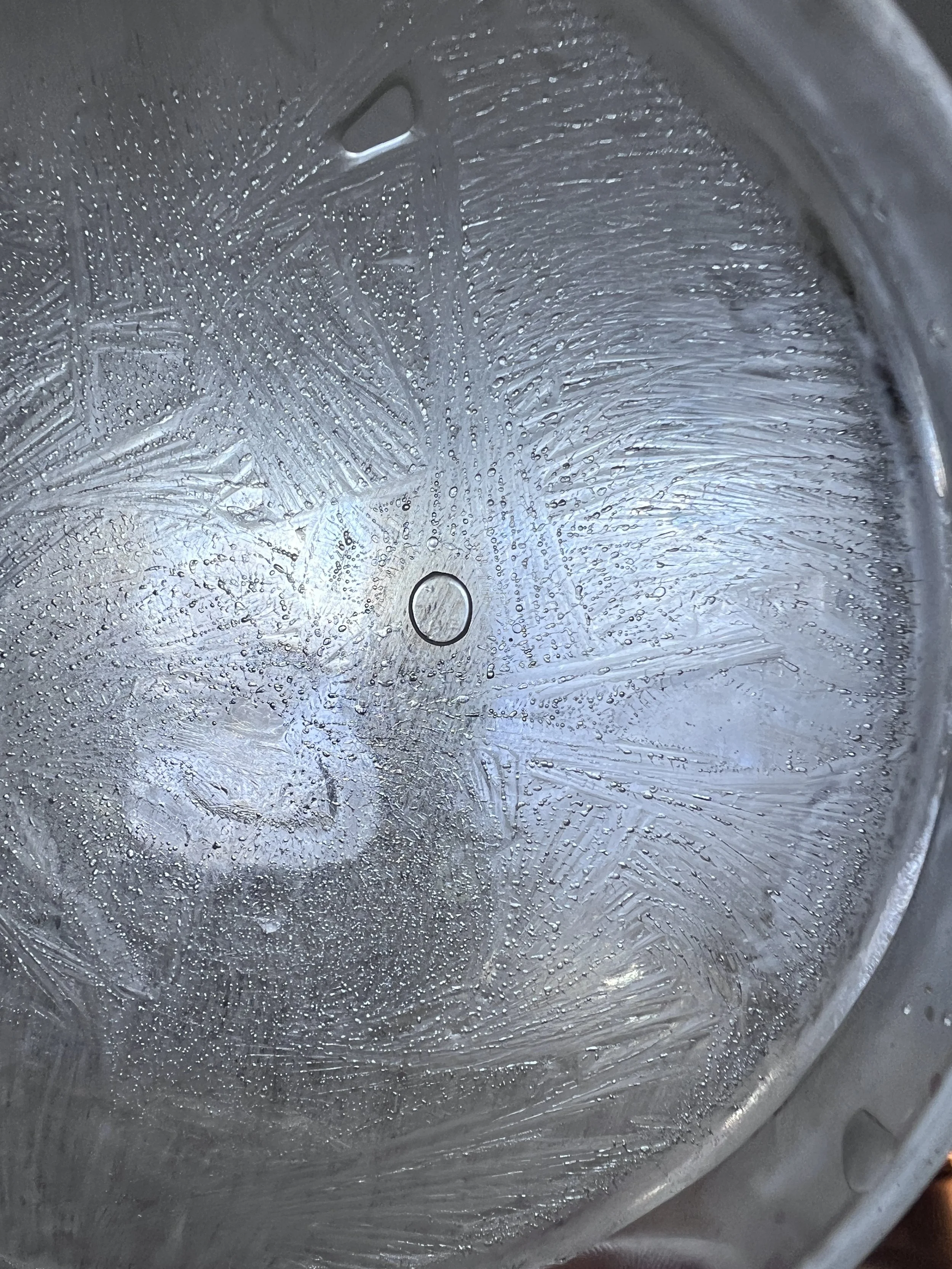 Close-up of a petri-dish with ice patterns and hydroglyph