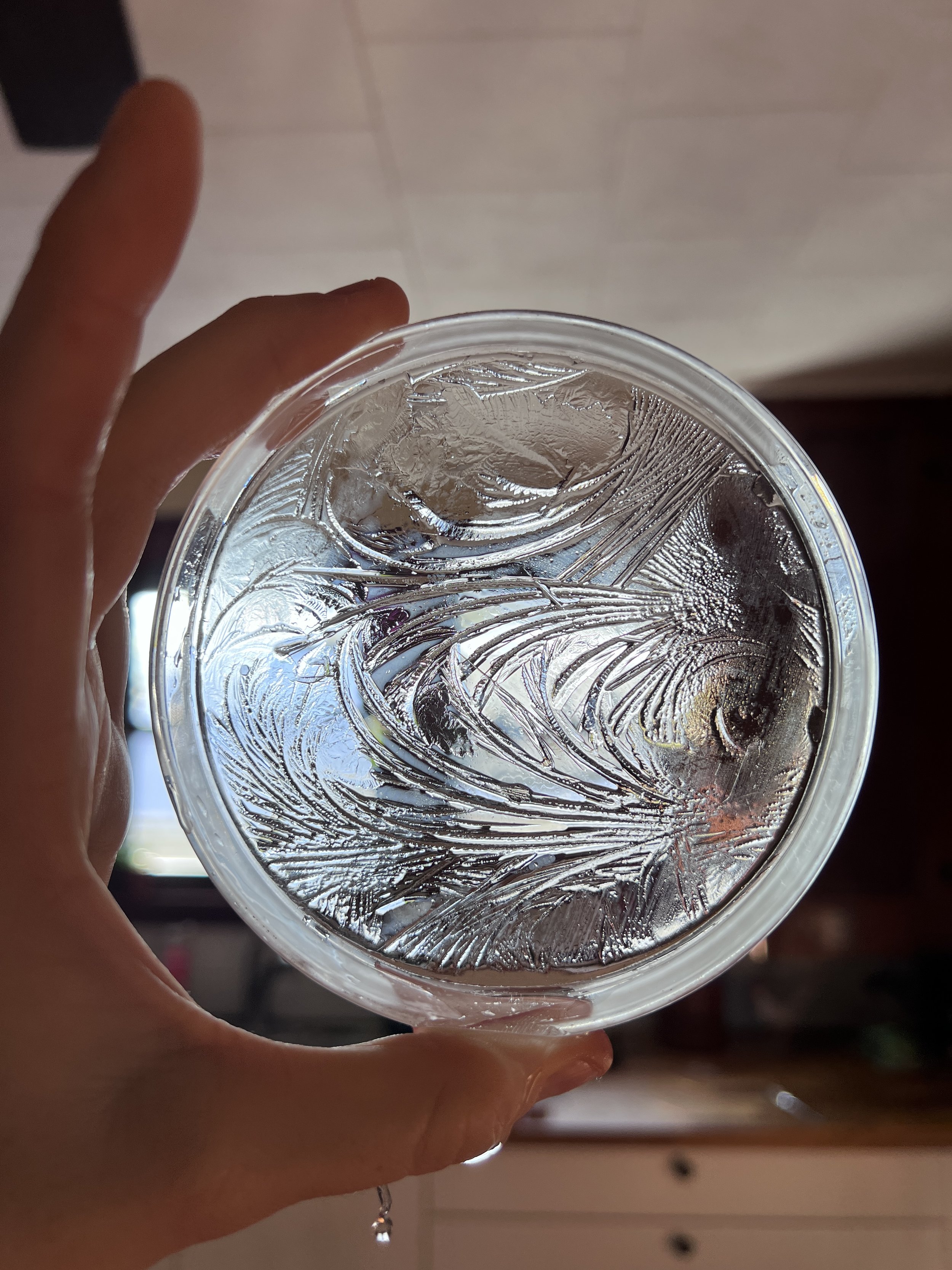 Close-up of a petri-dish with ice patterns and hydroglyph