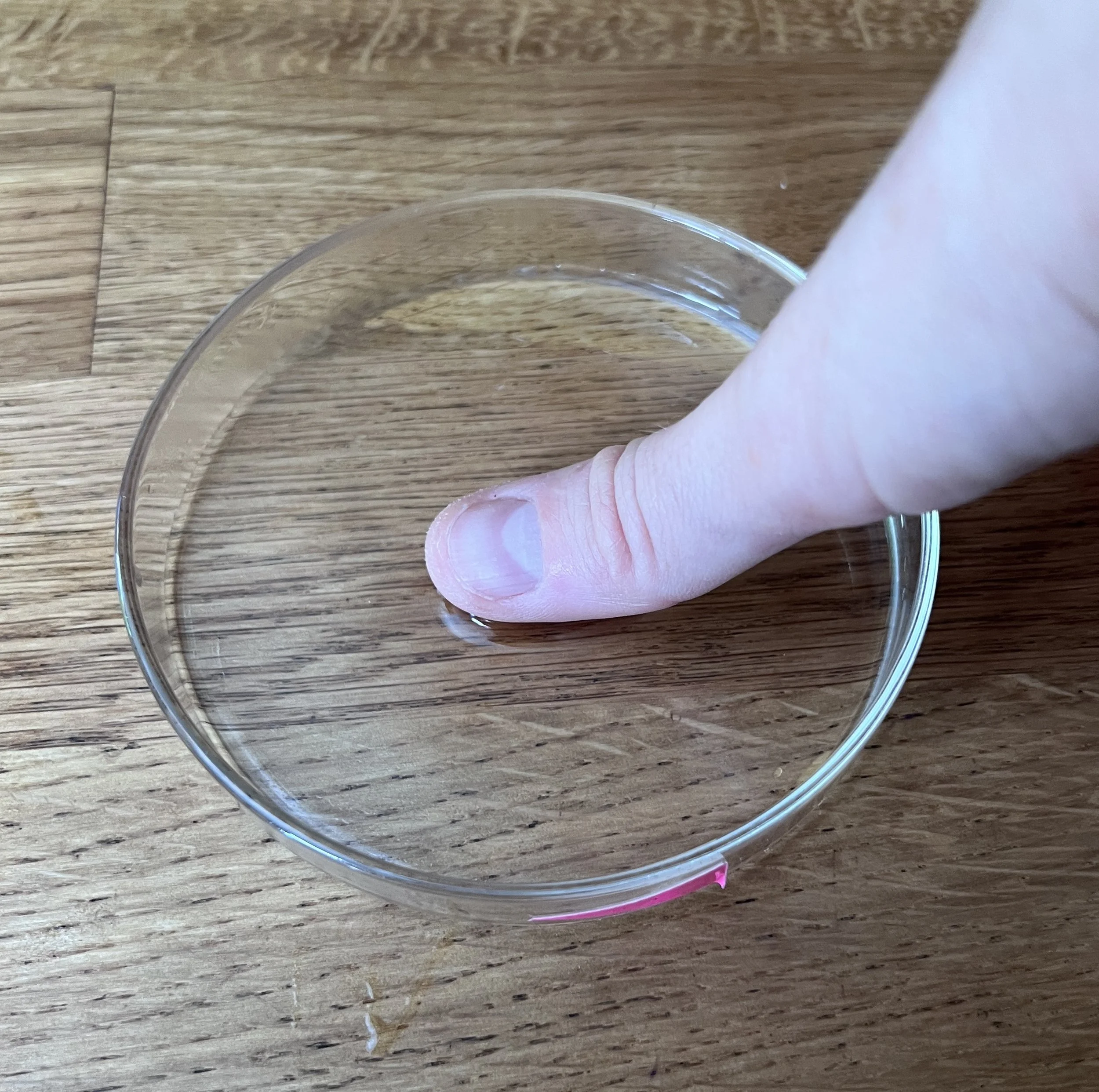 A Petri dish  on a wooden surface with a person's thumb in the water