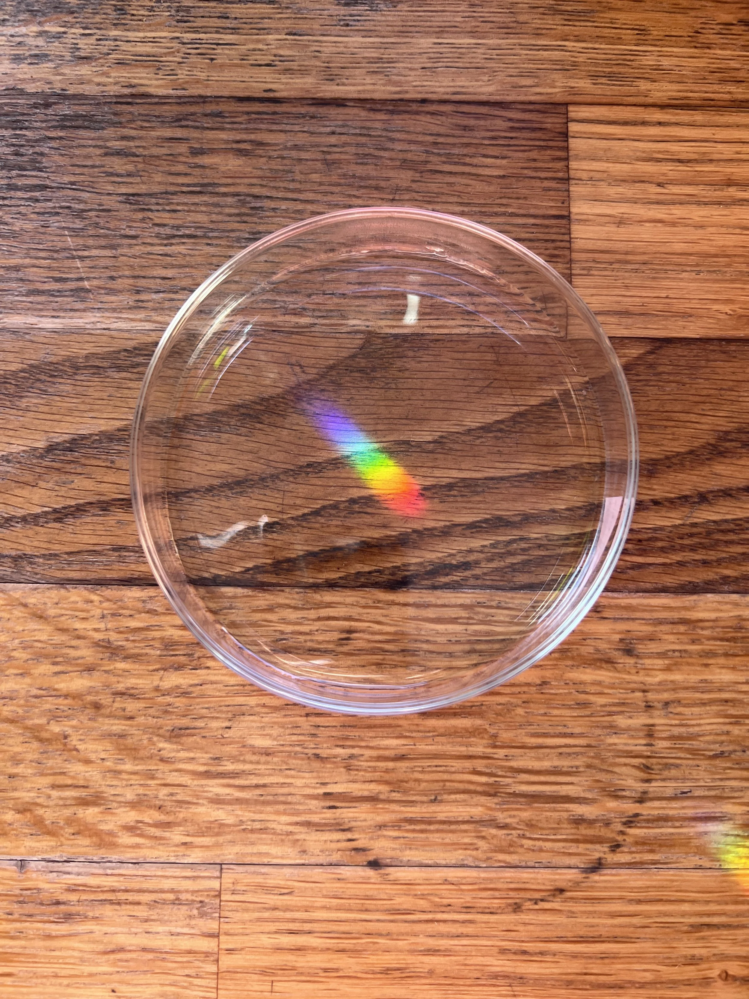 Close-up of a petri- dish with rainbow exposure sitting on a wooden surface.