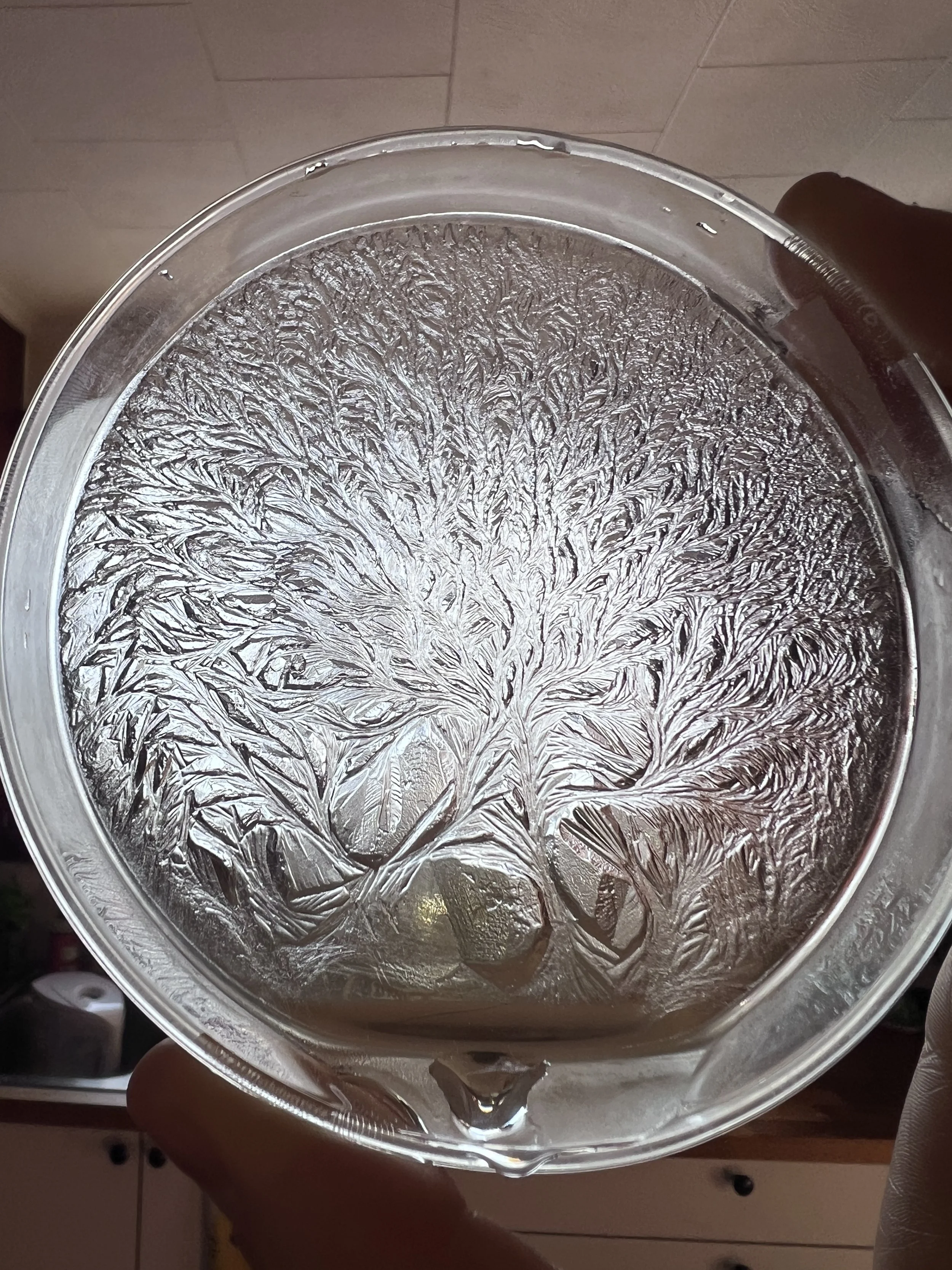 Close-up of a petri-dish with ice patterns and hydroglyph